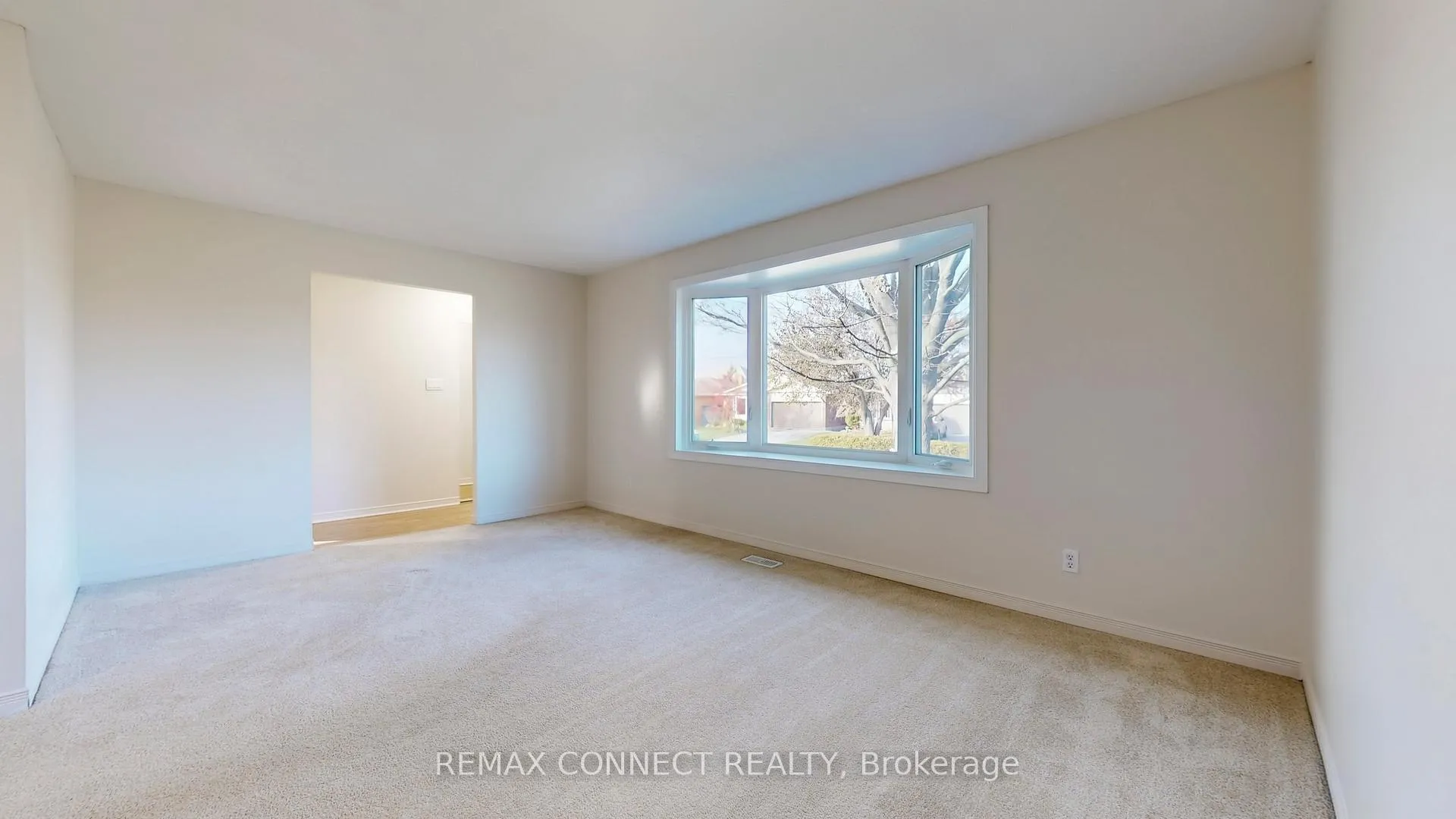 Photo 6 of 3 Rosewell Street, Hamilton, Randall — HOMEH