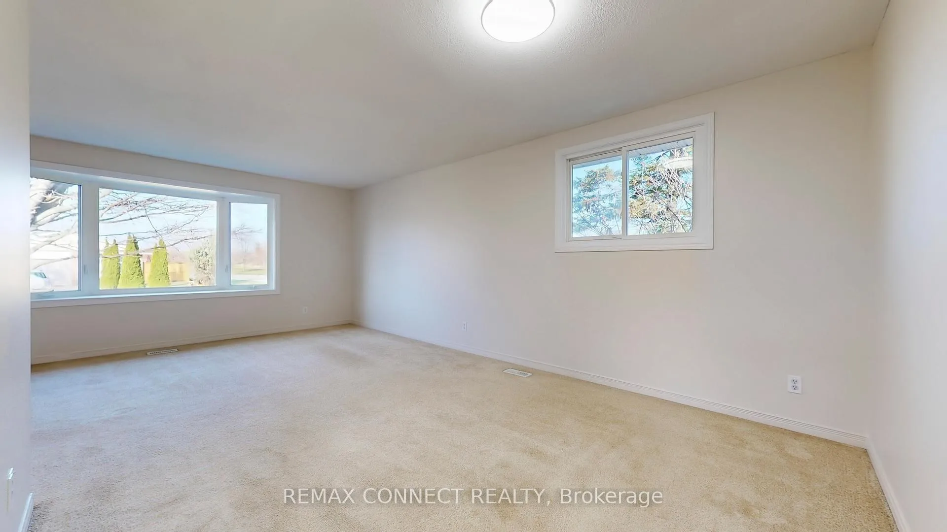 Photo 8 of 3 Rosewell Street, Hamilton, Randall — HOMEH