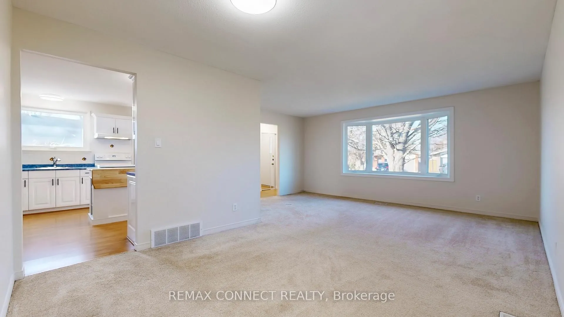 Photo 10 of 3 Rosewell Street, Hamilton, Randall — HOMEH