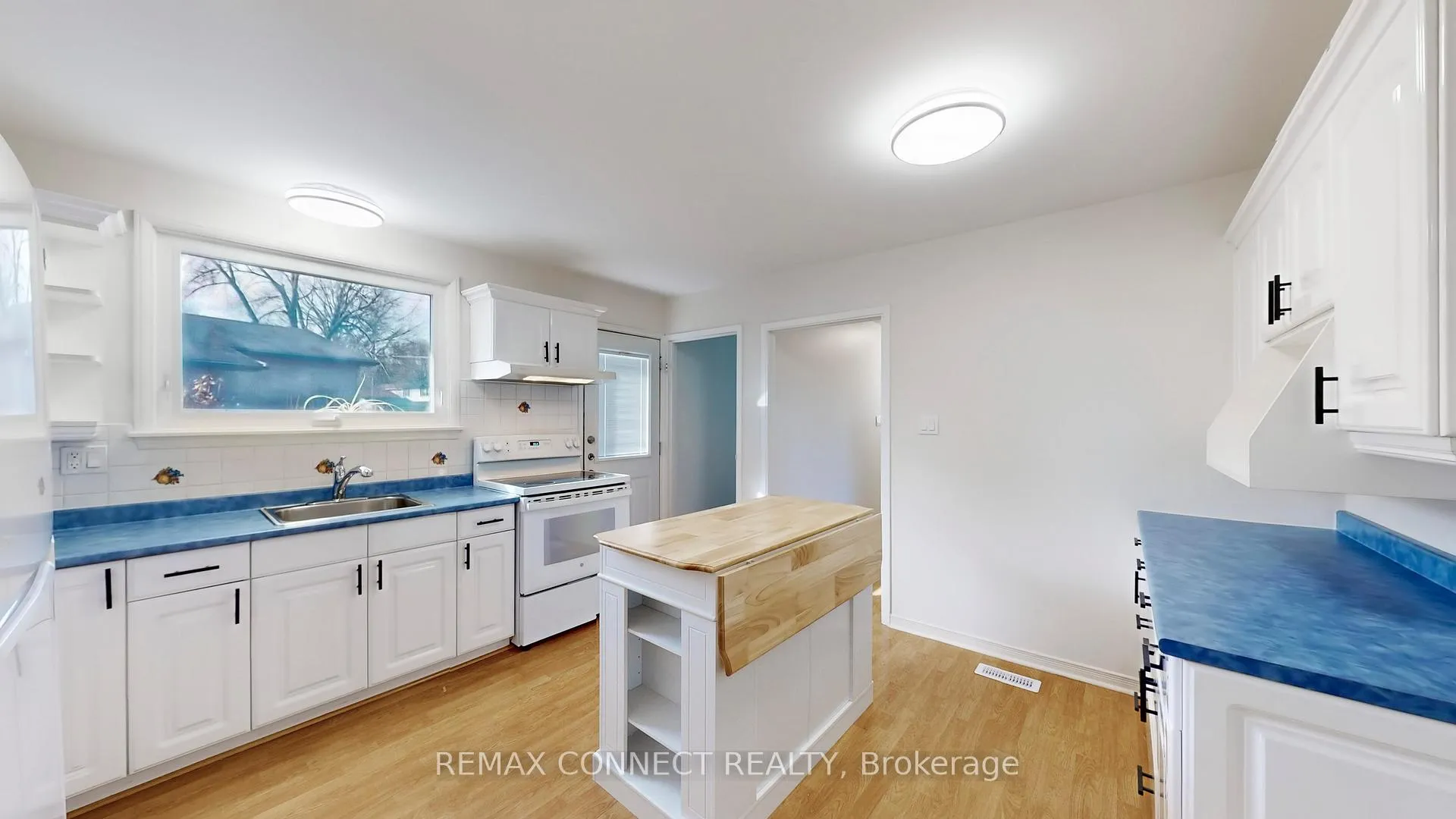 Photo 11 of 3 Rosewell Street, Hamilton, Randall — HOMEH