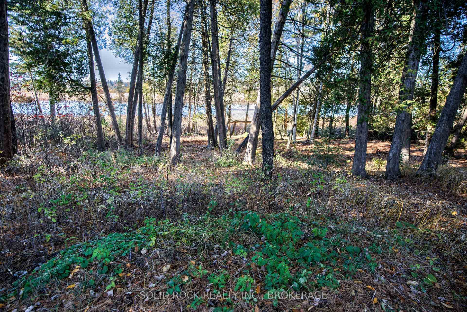 Photo 45 of 423 Mud Lake Road, Loyalist, Lennox and Addington - South — HOMEH
