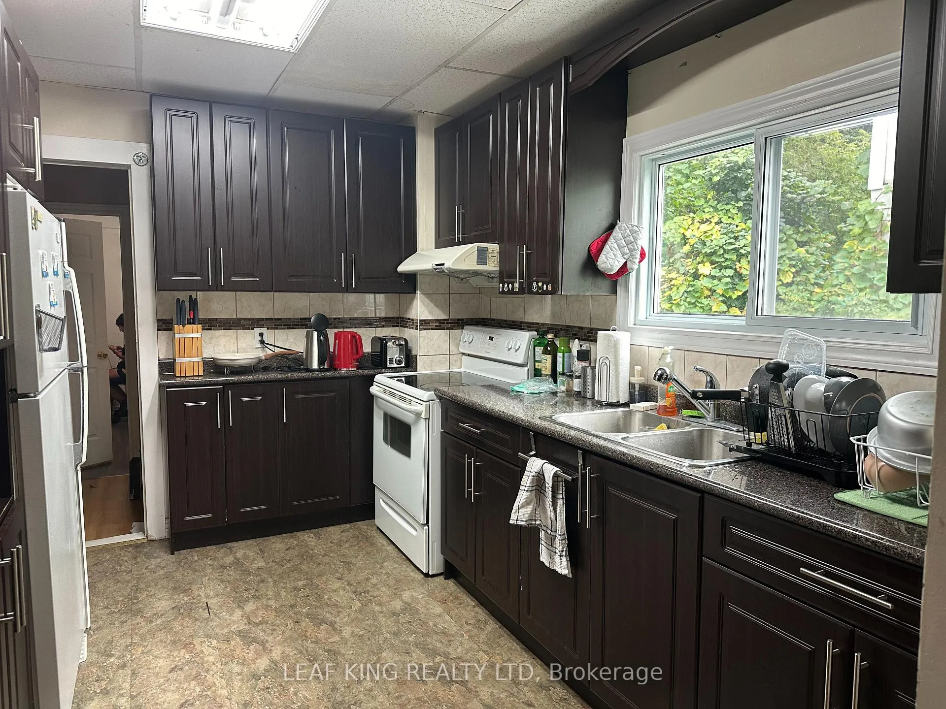 Photo 8 of 57 Emerson Street, Hamilton, Ainslie Wood — HOMEH