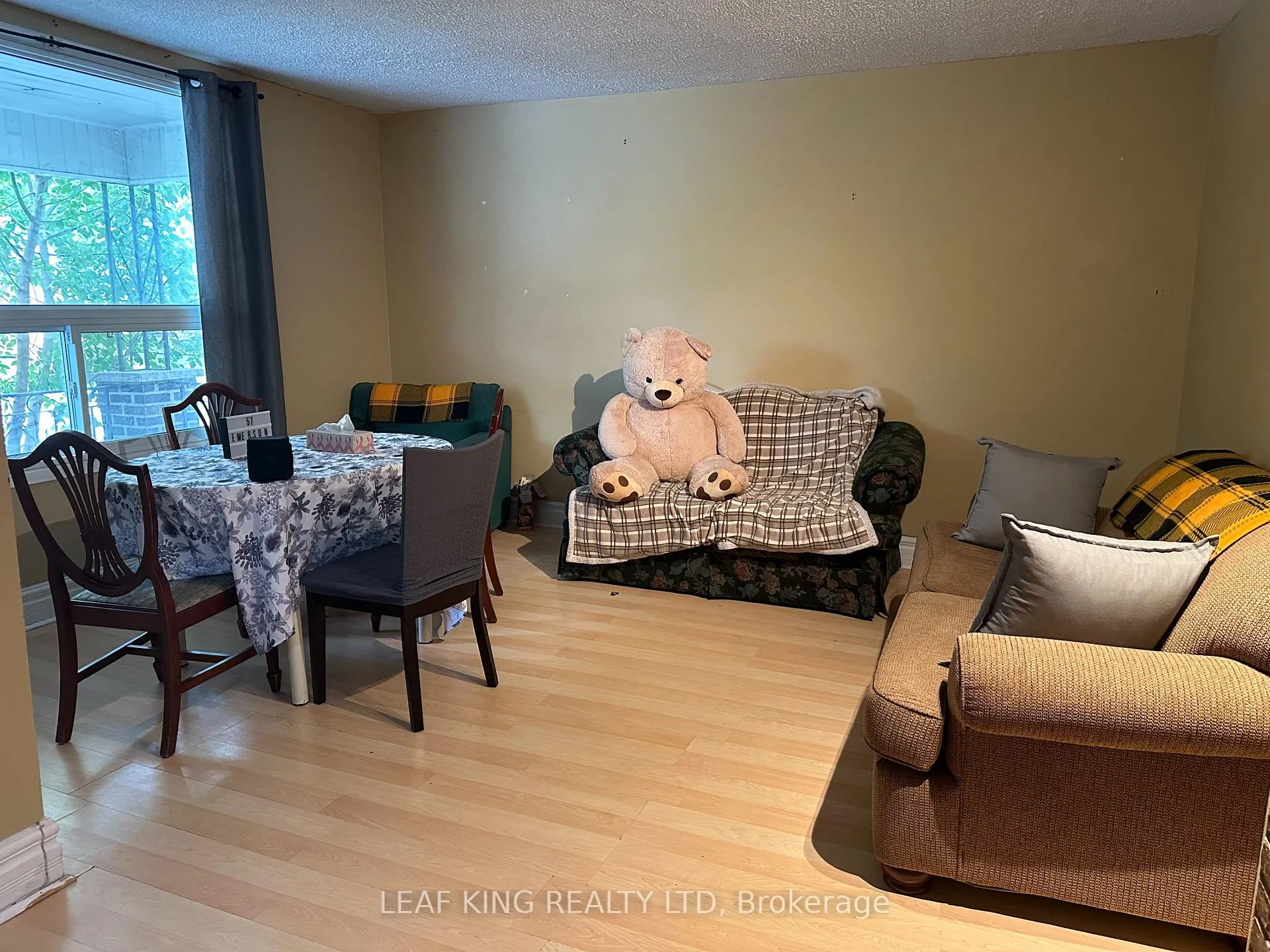 Photo 14 of 57 Emerson Street, Hamilton, Ainslie Wood — HOMEH