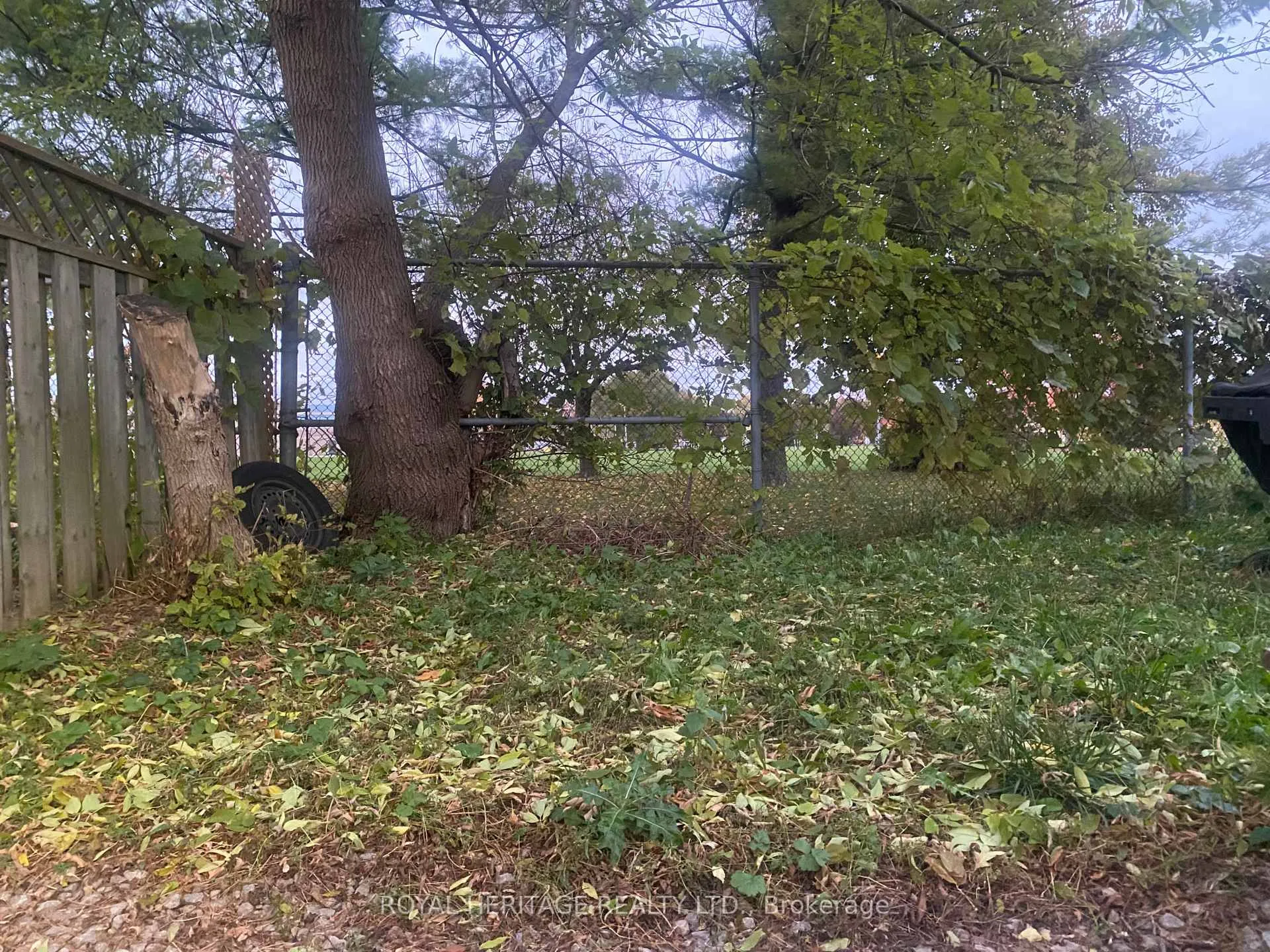 Photo 14 of 24 Reed Drive, Ajax, Central — HOMEH