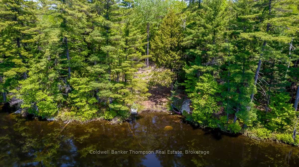 Photo 4 of 29 Bear Lake Road, Georgian Bay, Freeman — HOMEH