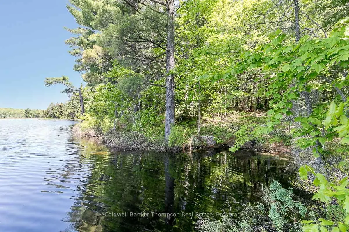 Photo 17 of 29 Bear Lake Road, Georgian Bay, Freeman — HOMEH
