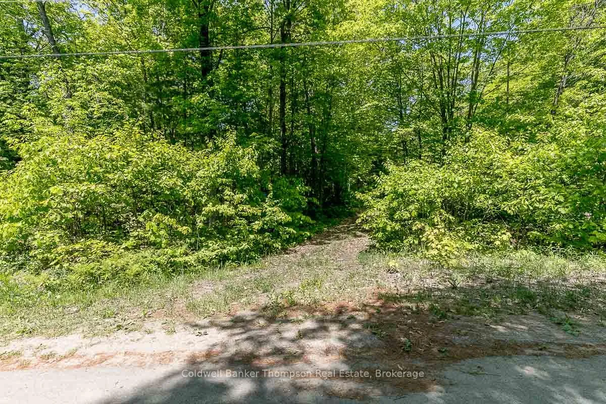 Photo 32 of 29 Bear Lake Road, Georgian Bay, Freeman — HOMEH
