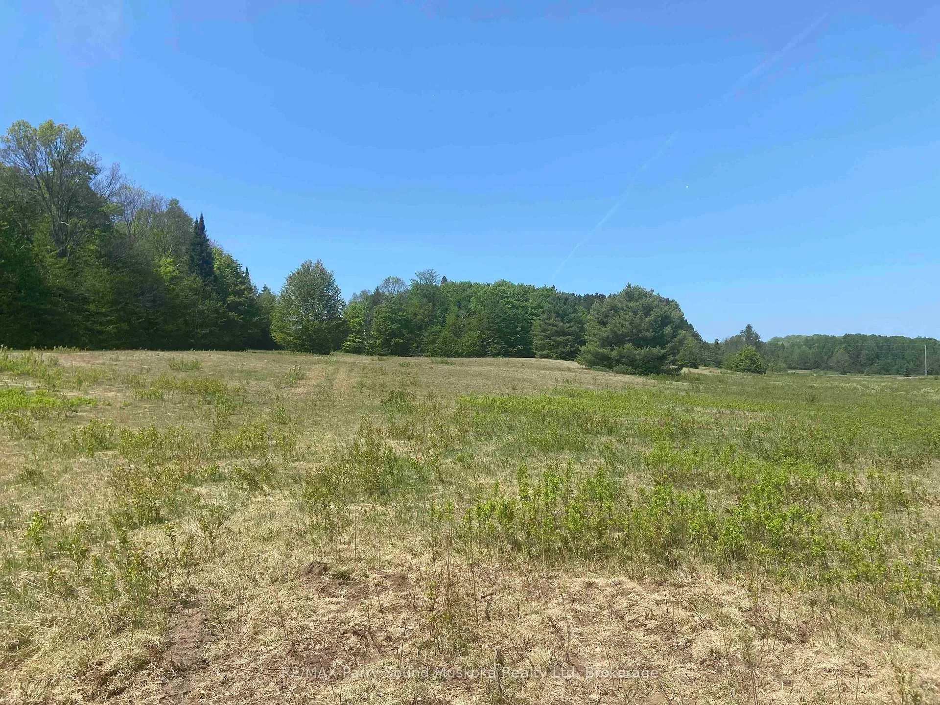 Photo 3 of 2899 Midlothian Road South, Magnetawan, Spence — HOMEH