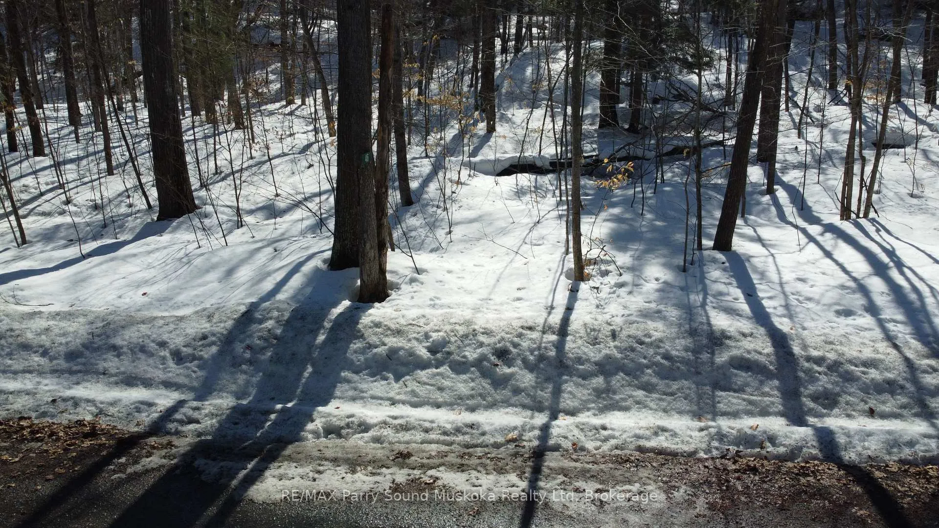 Photo 4 of 46 Ridgeway Drive, Carling — HOMEH