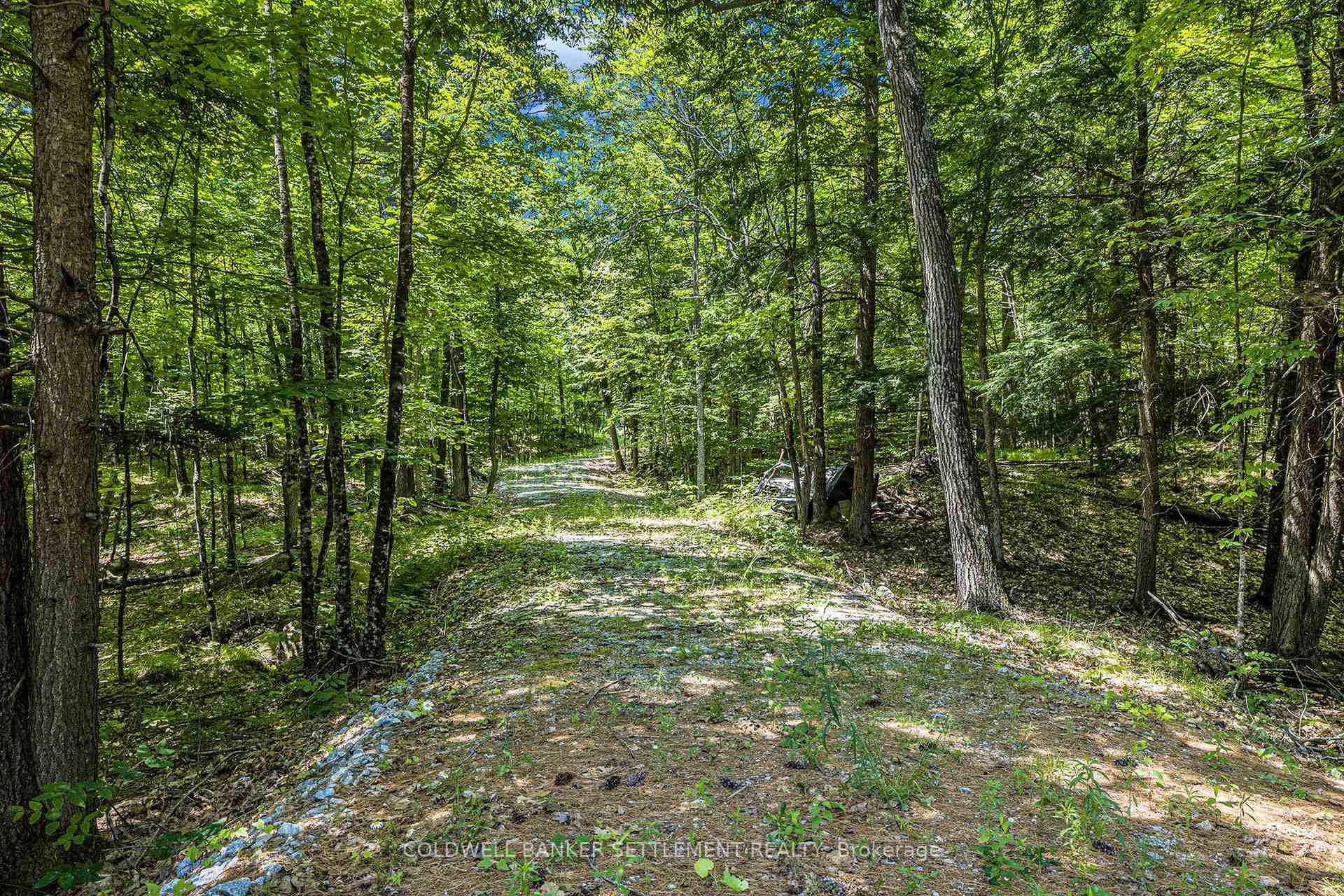 Photo 6 of 1884 Umphersons Mill Road, Lanark Highlands, Lanark Highlands (Dalhousie) Twp — HOMEH