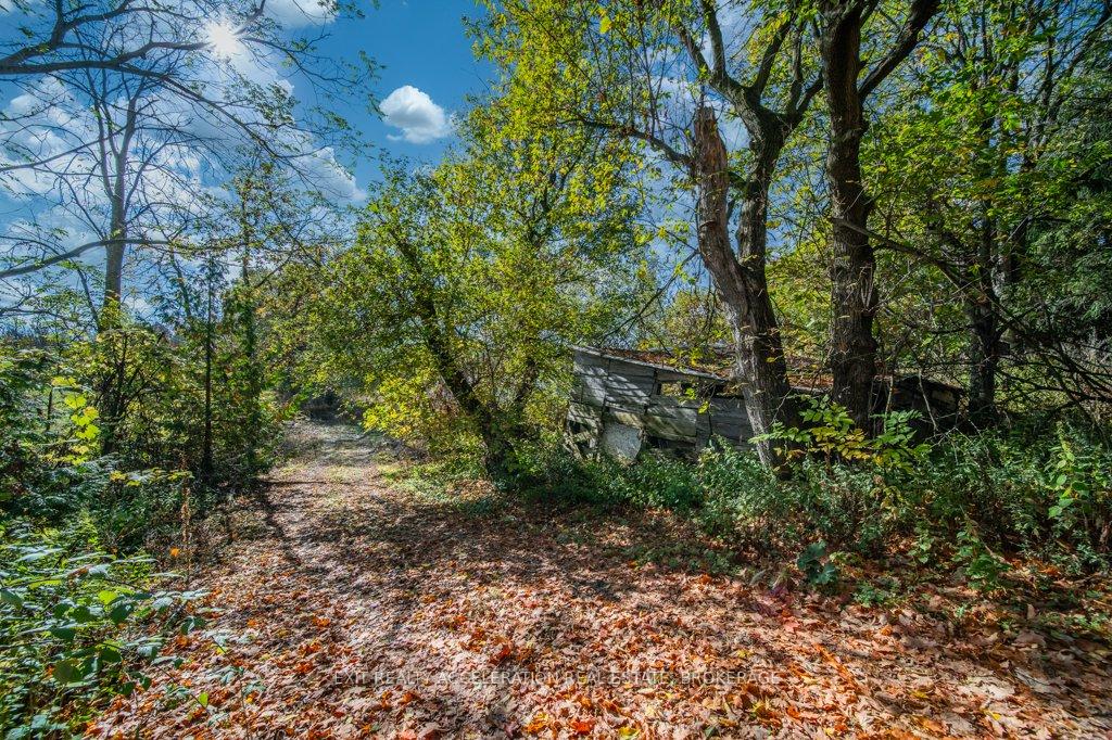 Photo 31 of 1556 Ham Road, Loyalist, Lennox and Addington - South — HOMEH