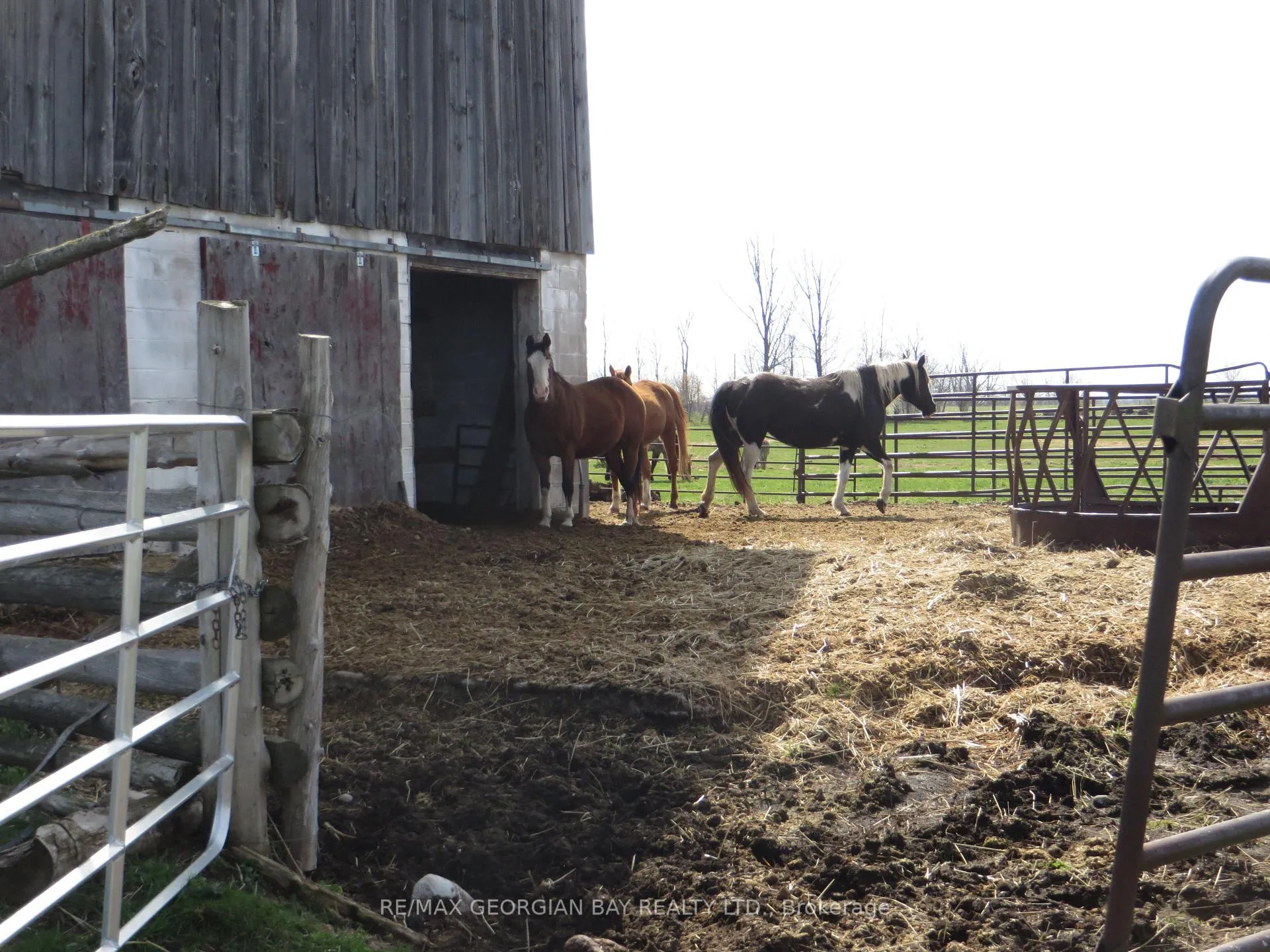 Photo 4 of 6362 Line 3 N, Oro-Medonte, Rural Oro-Medonte — HOMEH