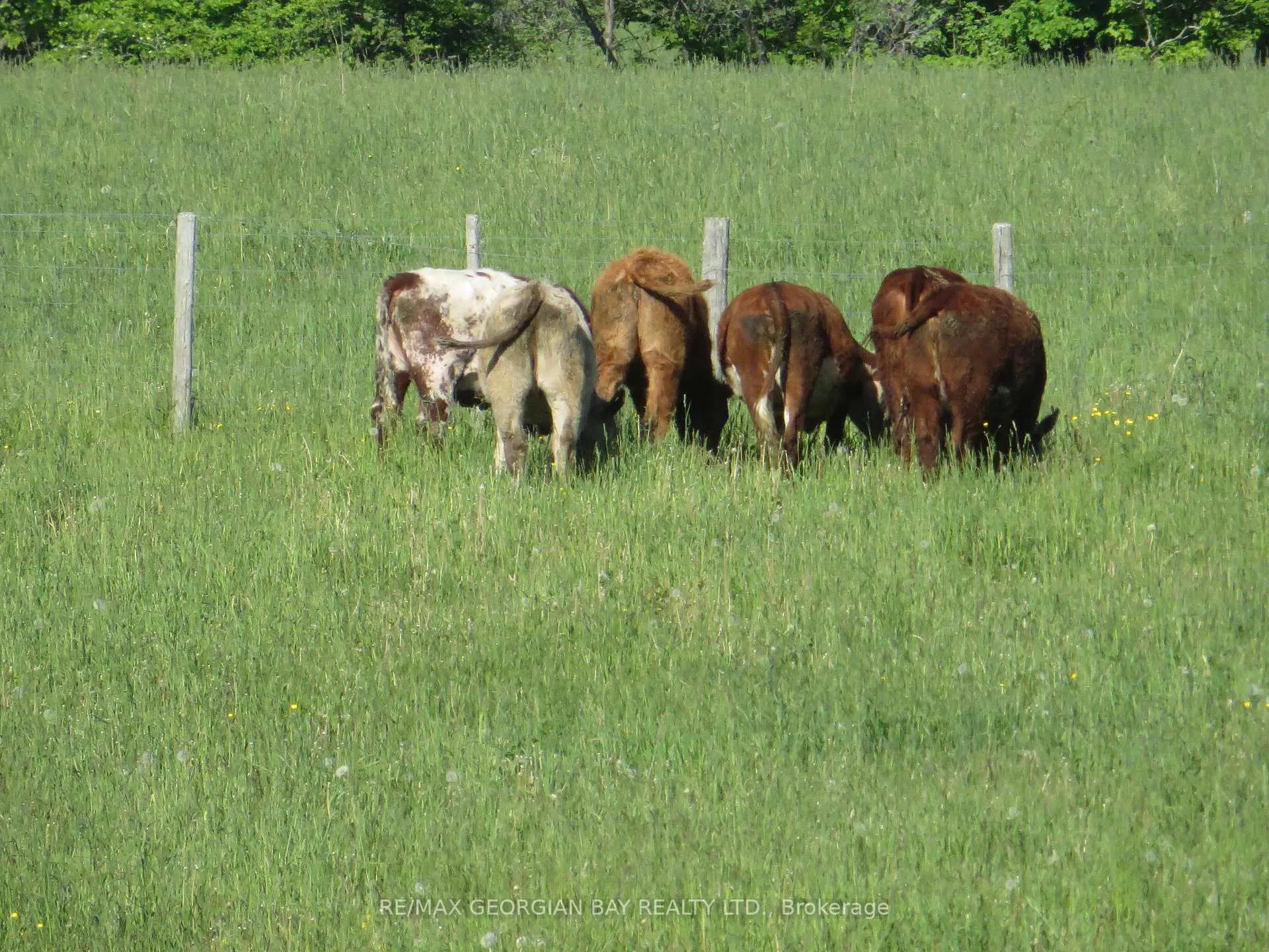 Photo 8 of 6362 Line 3 N, Oro-Medonte, Rural Oro-Medonte — HOMEH