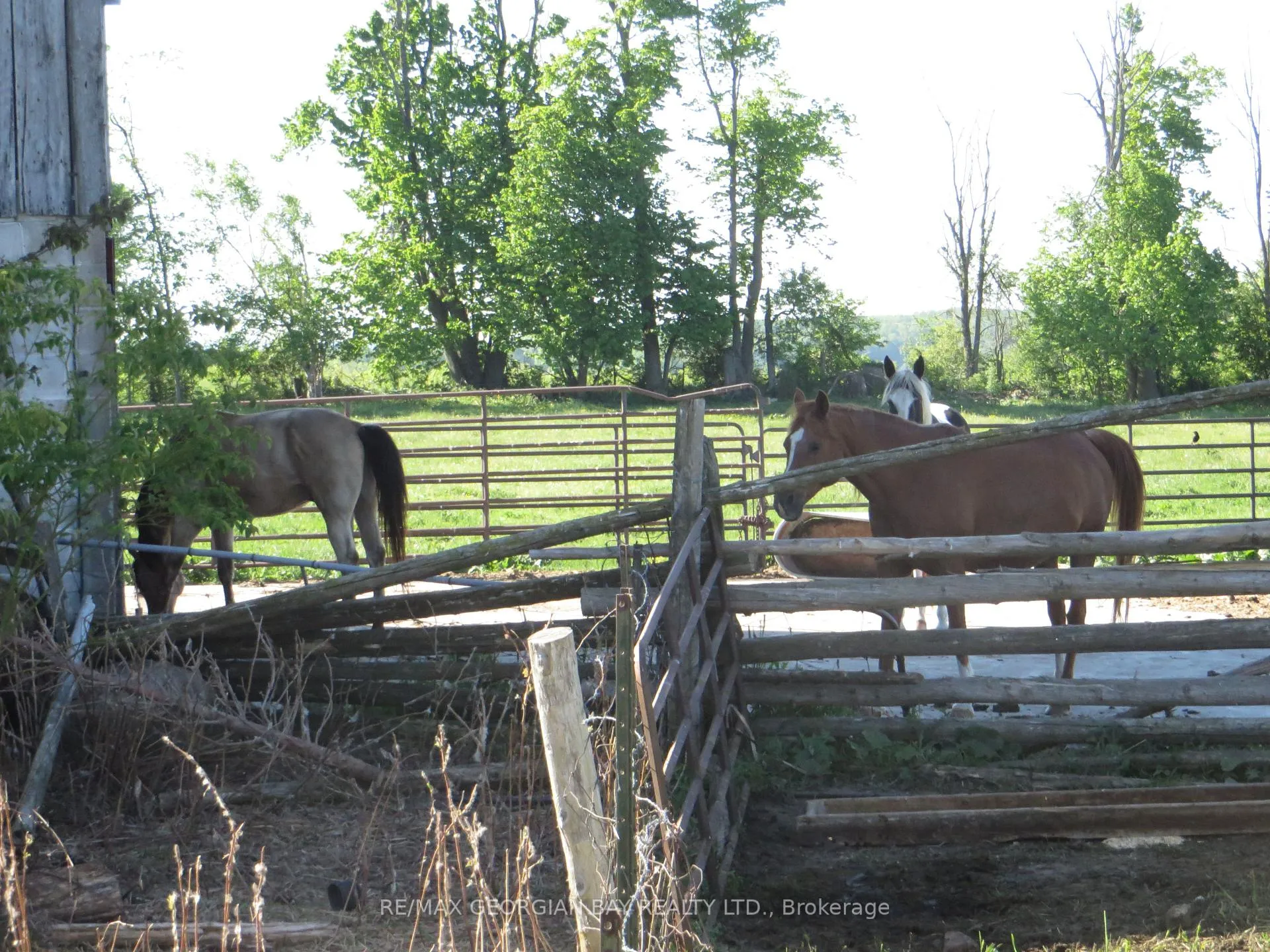 Photo 9 of 6362 Line 3 N, Oro-Medonte, Rural Oro-Medonte — HOMEH