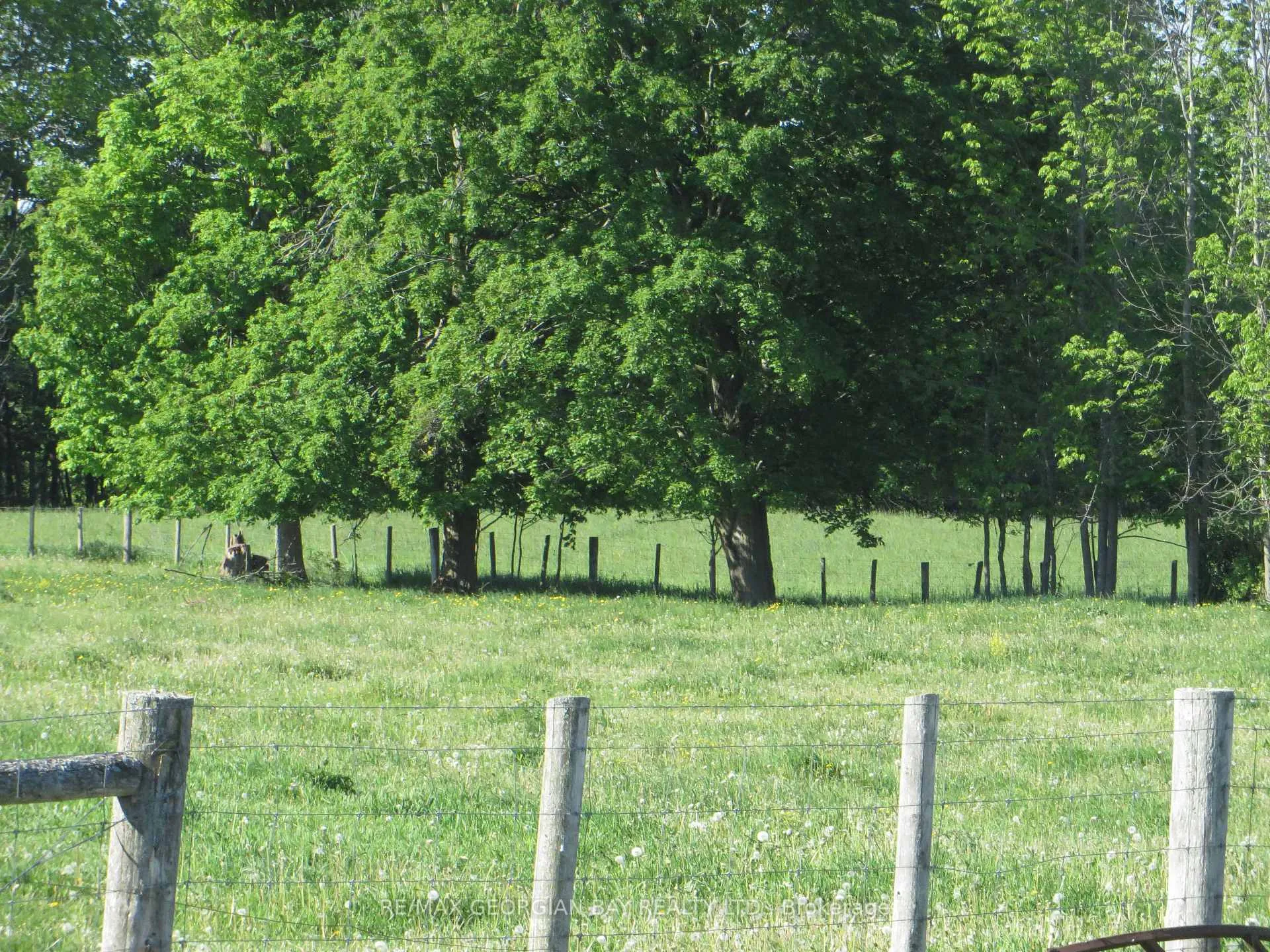 Photo 10 of 6362 Line 3 N, Oro-Medonte, Rural Oro-Medonte — HOMEH