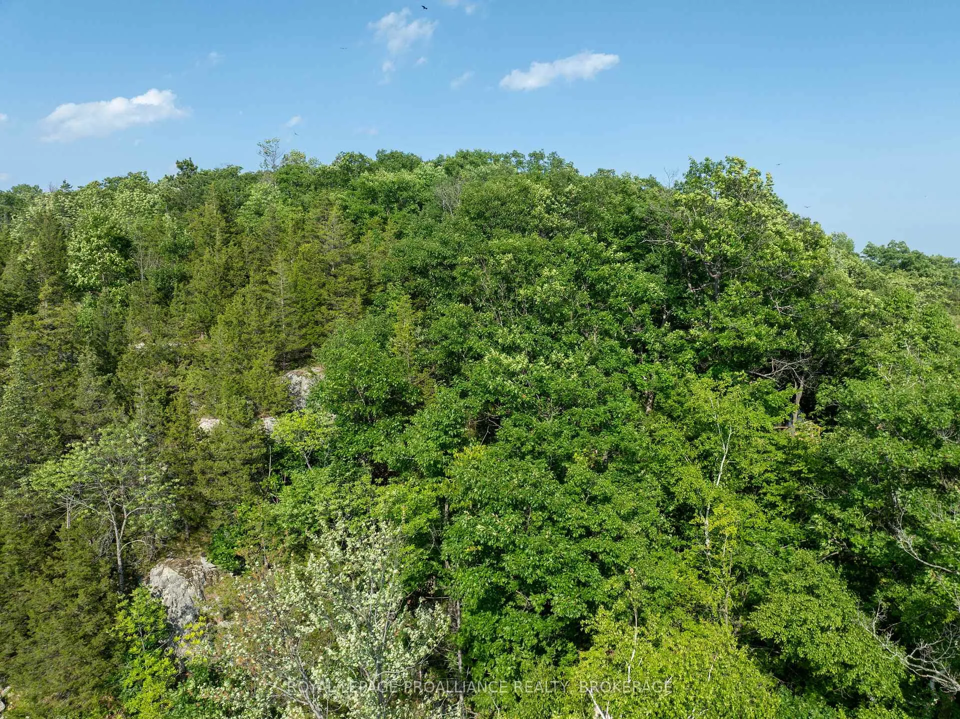 Photo 16 of PT LT 25 Bobs Lake, Frontenac, Frontenac South — HOMEH
