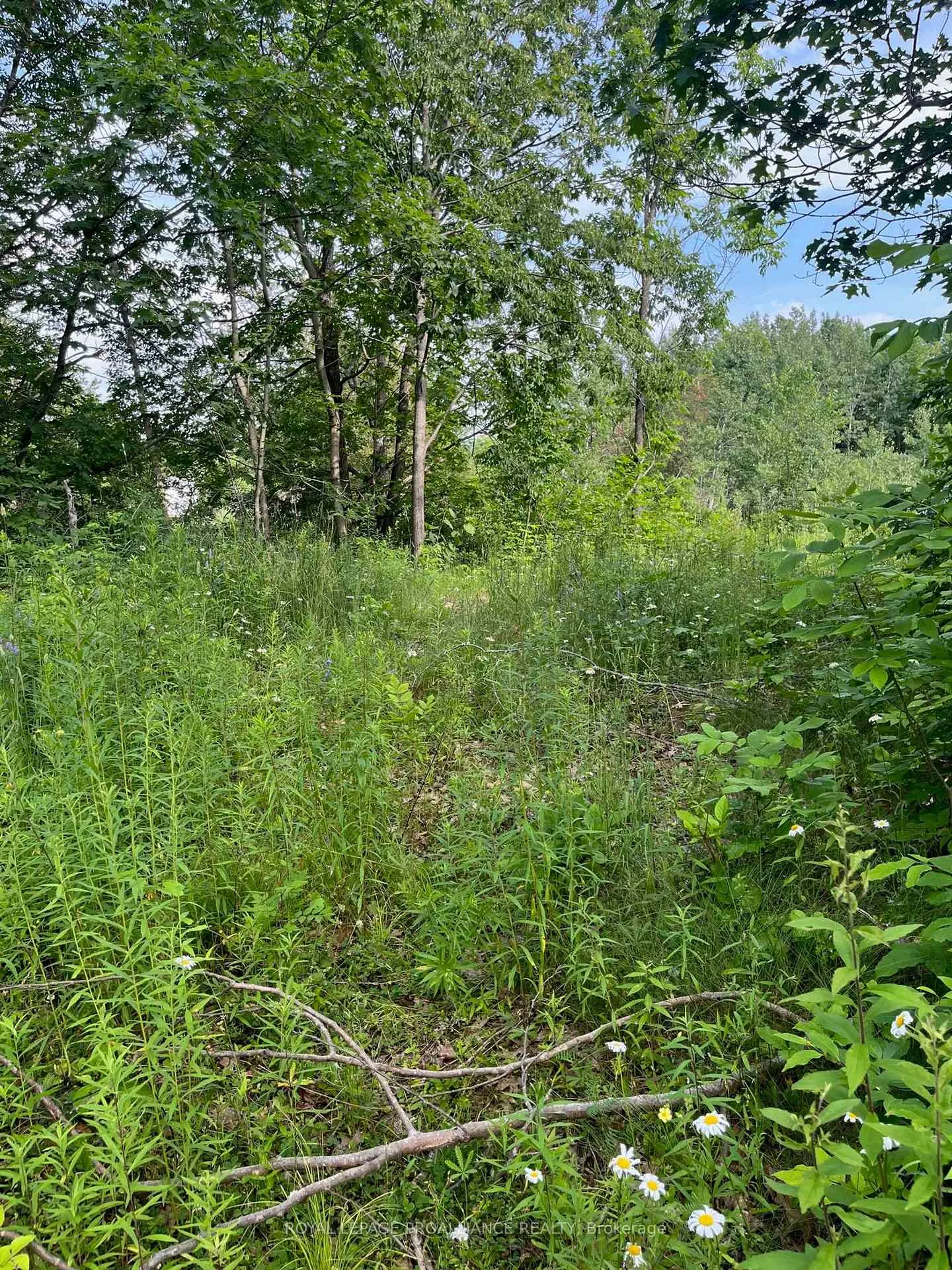 Photo 2 of Pt Lt 14 Con 3, Rideau Lakes, Rideau Lakes (North Crosby) Twp — HOMEH