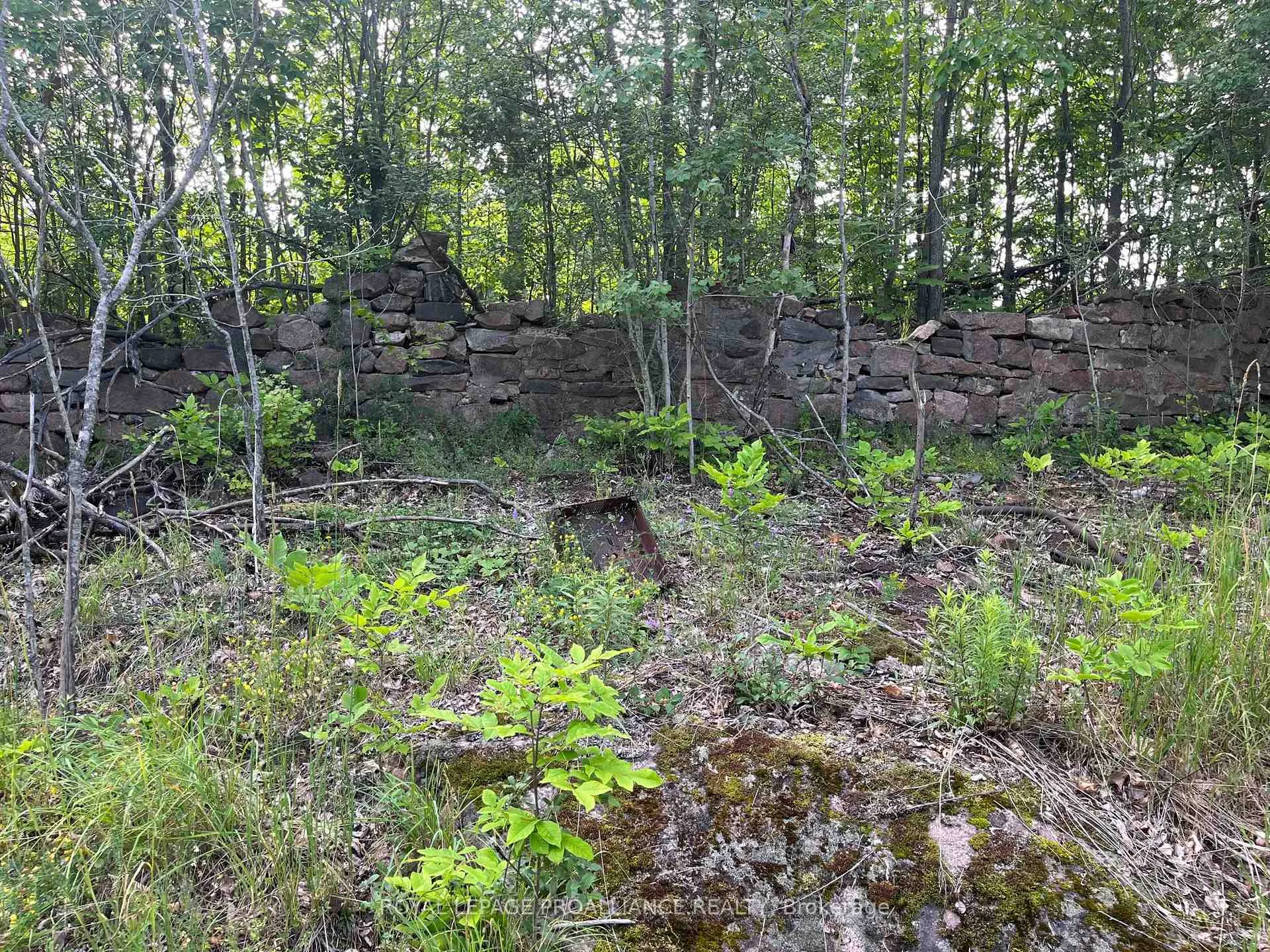 Photo 4 of Pt Lt 14 Con 3, Rideau Lakes, Rideau Lakes (North Crosby) Twp — HOMEH