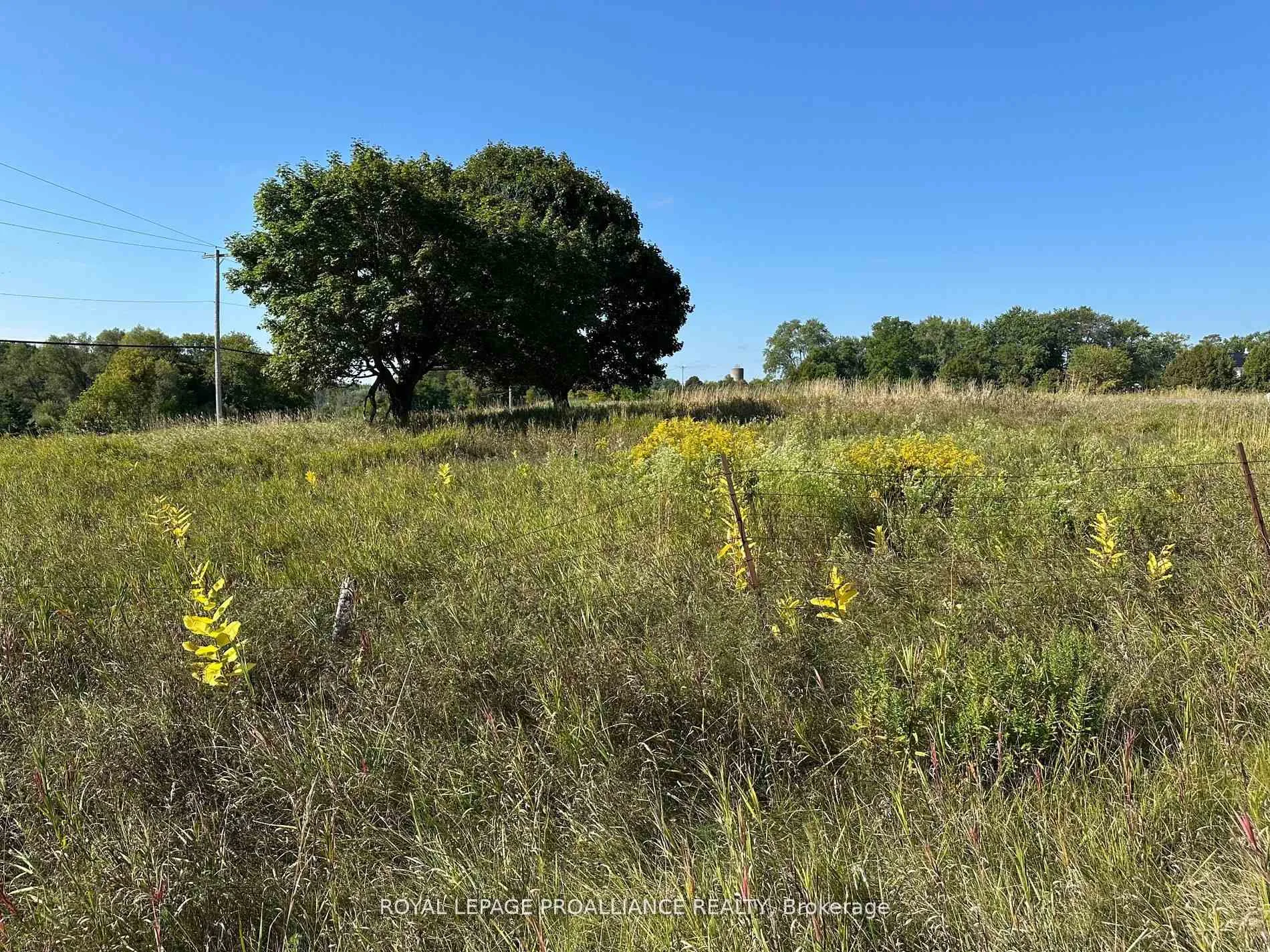 Photo 2 of Unit PT LT 17, Teal Road, Quinte West, Murray Ward — HOMEH