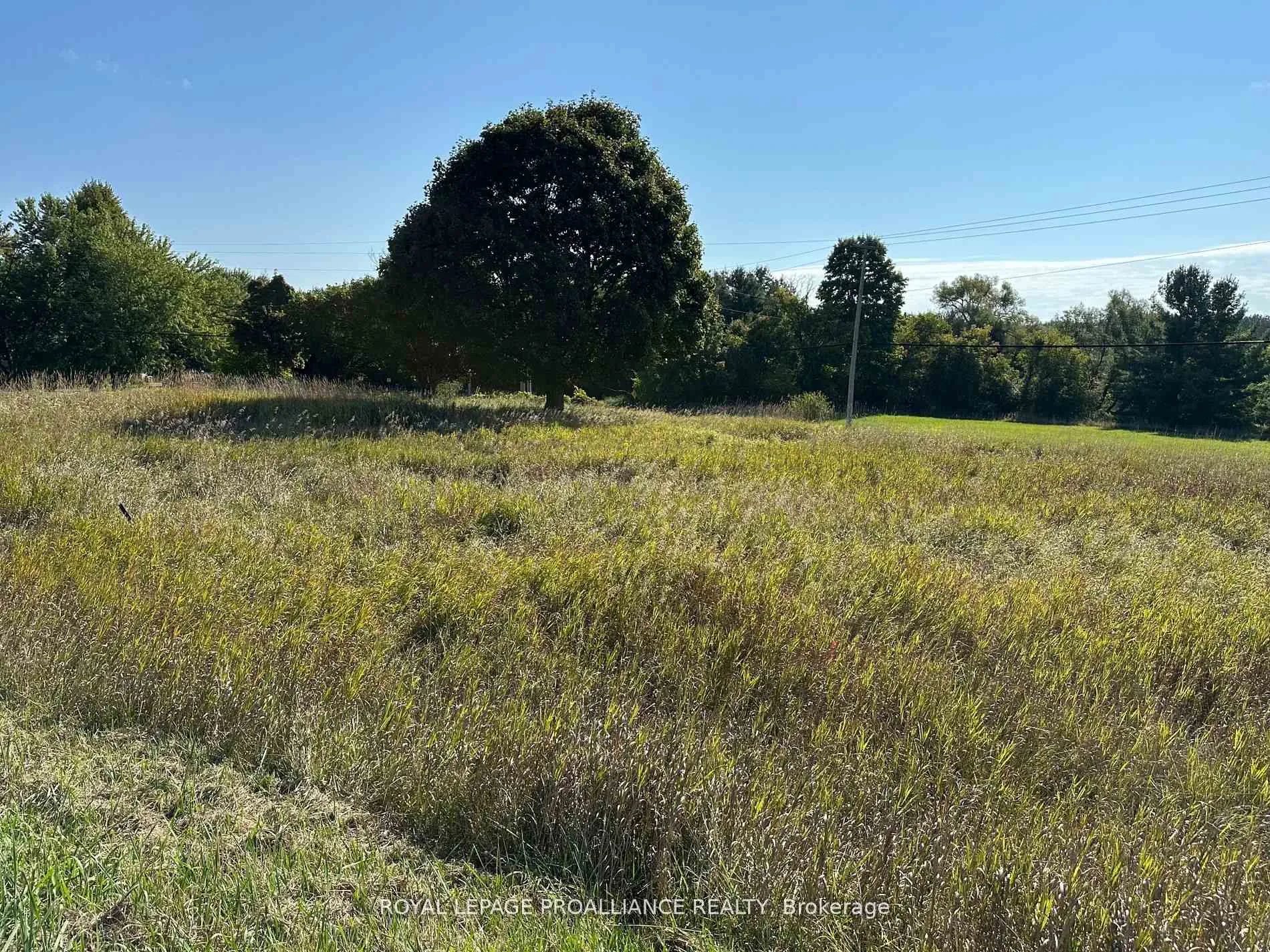Photo 3 of Unit PT LT 17, Teal Road, Quinte West, Murray Ward — HOMEH