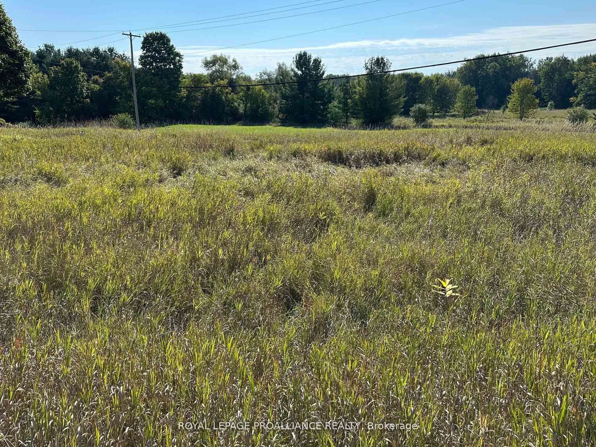 Photo 4 of Unit PT LT 17, Teal Road, Quinte West, Murray Ward — HOMEH