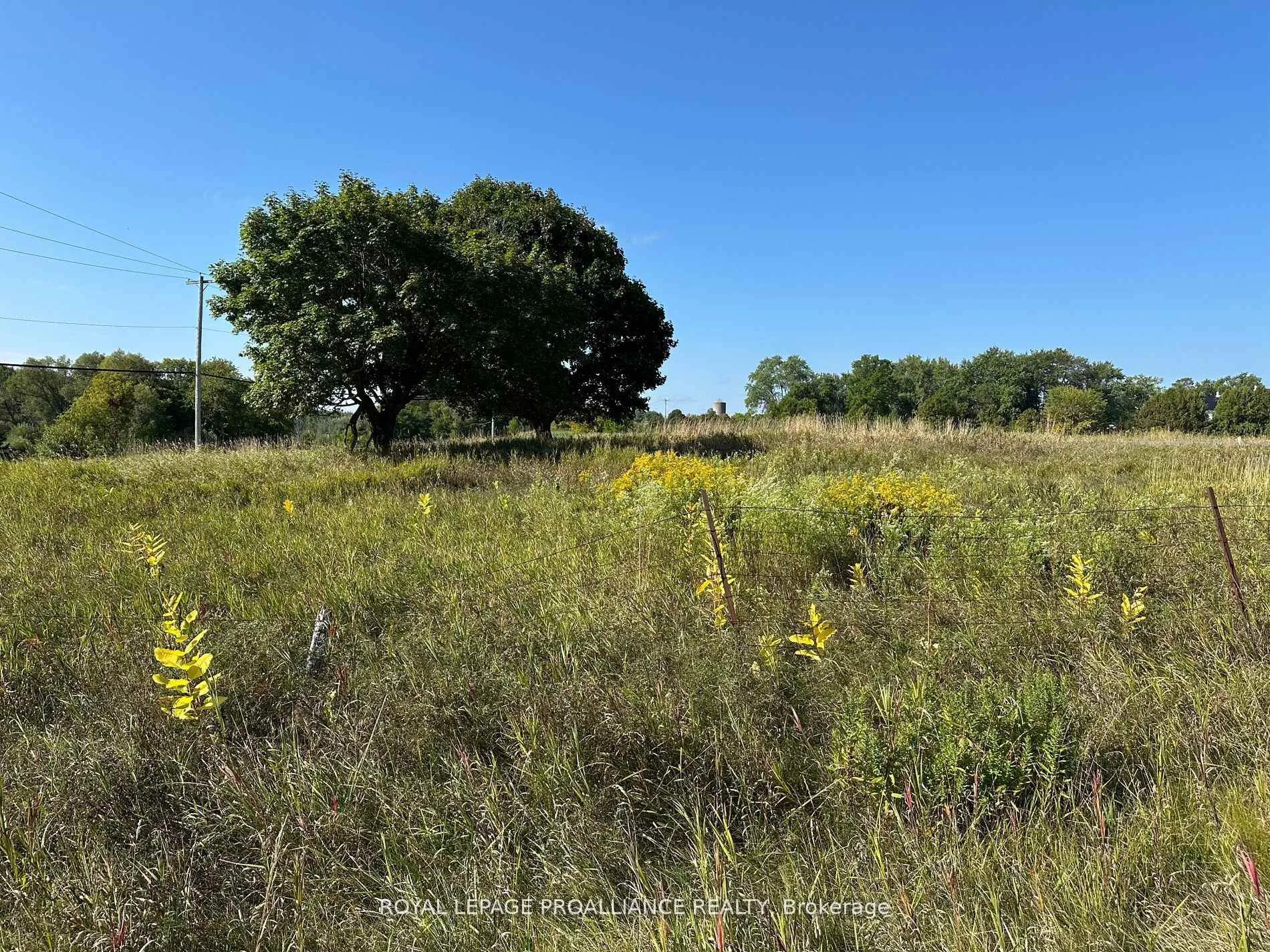 Photo 5 of Unit PT LT 17, Teal Road, Quinte West, Murray Ward — HOMEH