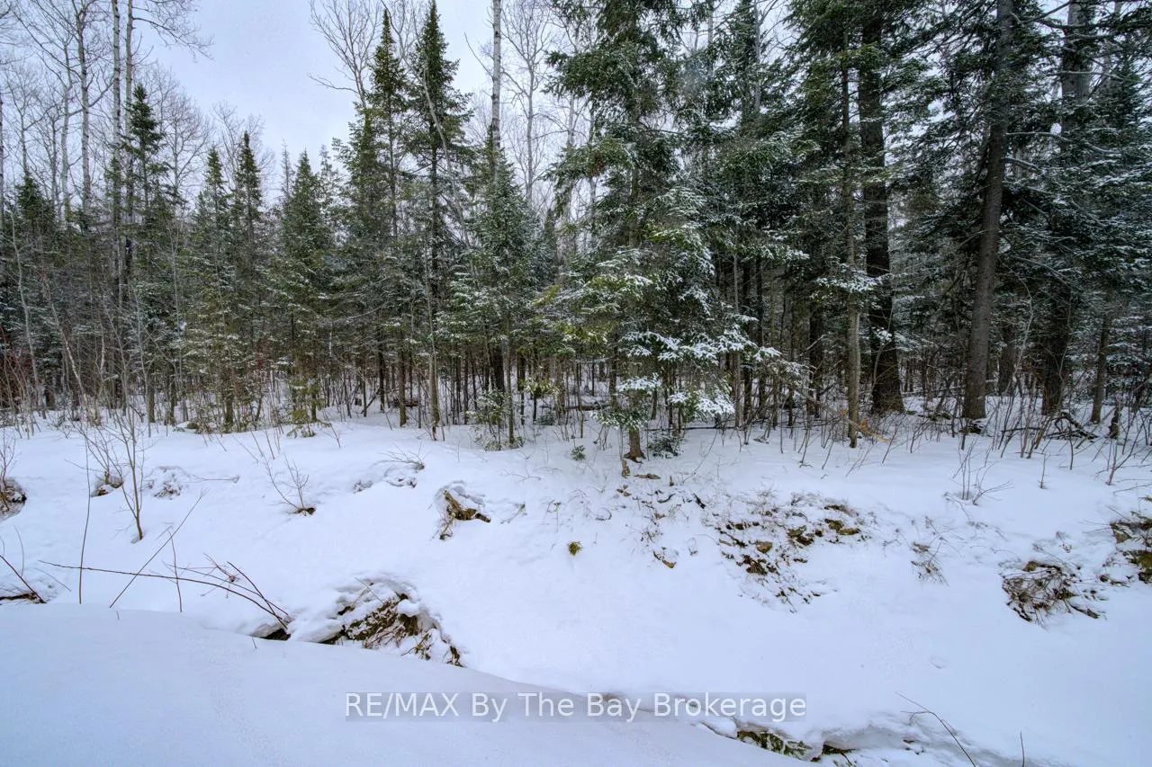 Photo 42 of 397 Silver Birch Drive, Tiny, Rural Tiny — HOMEH