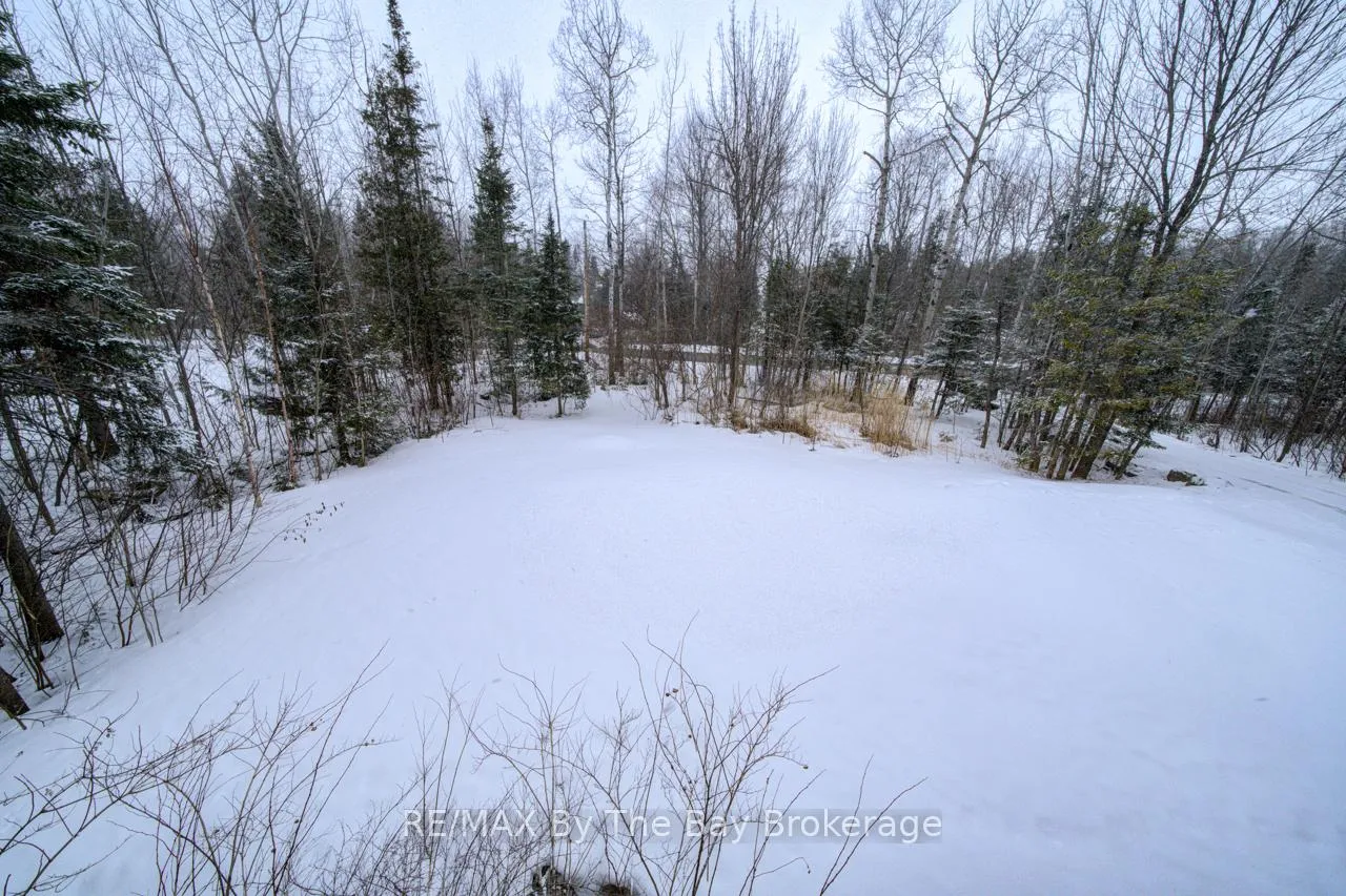 Photo 43 of 397 Silver Birch Drive, Tiny, Rural Tiny — HOMEH