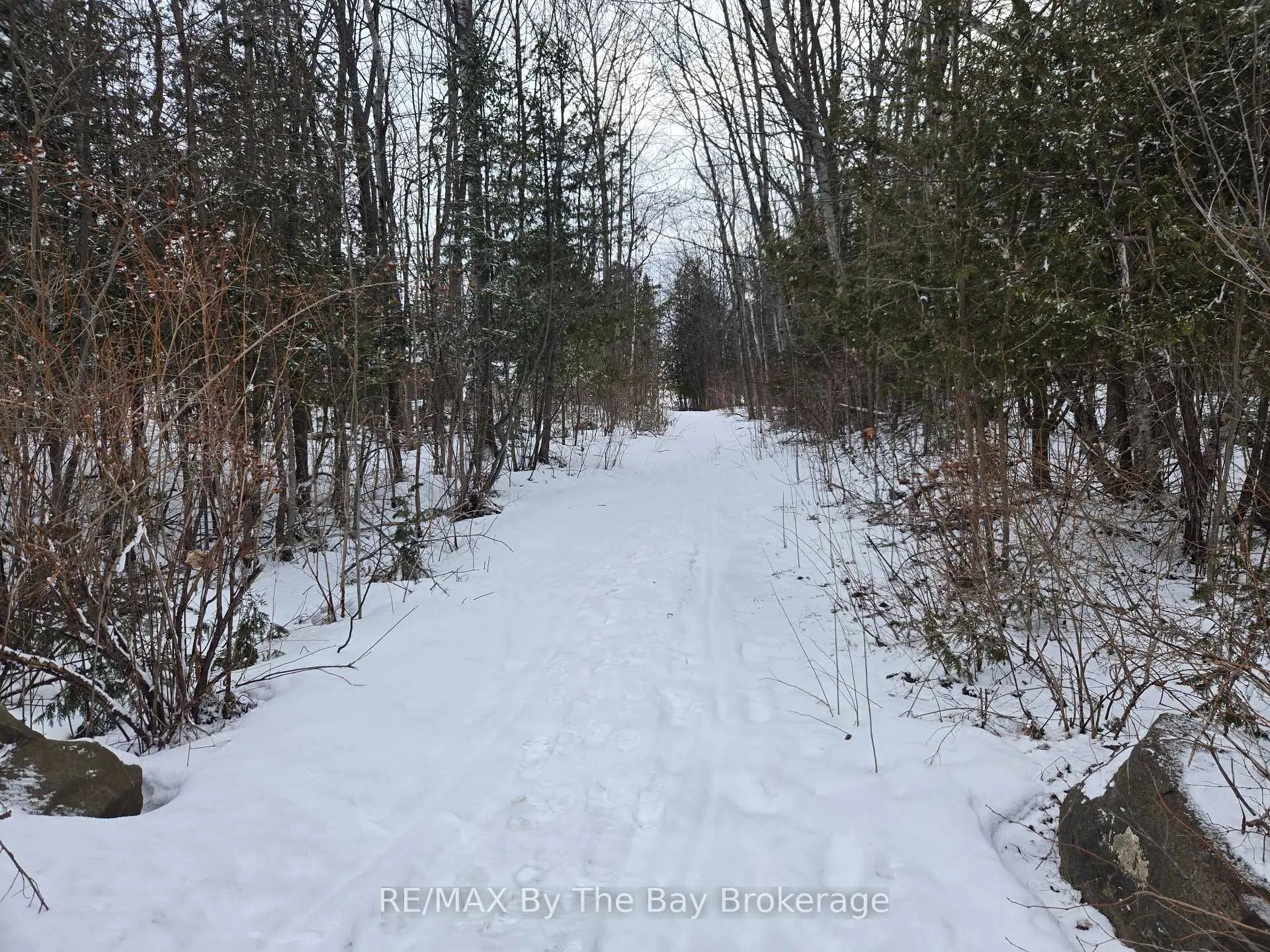 Photo 47 of 397 Silver Birch Drive, Tiny, Rural Tiny — HOMEH