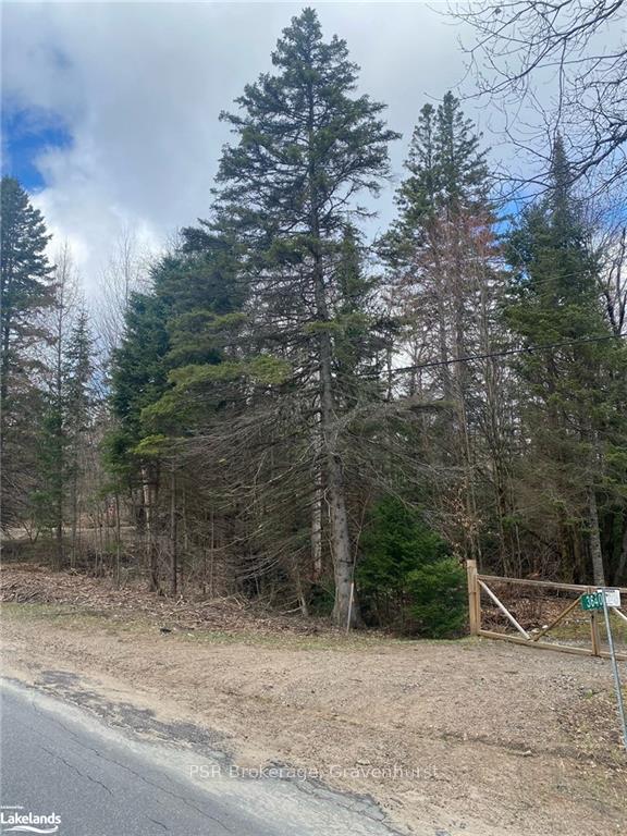 Photo 2 of PLOT 143 LOT 12 Highway 518 W, McMurrich/Monteith, McMurrich — HOMEH