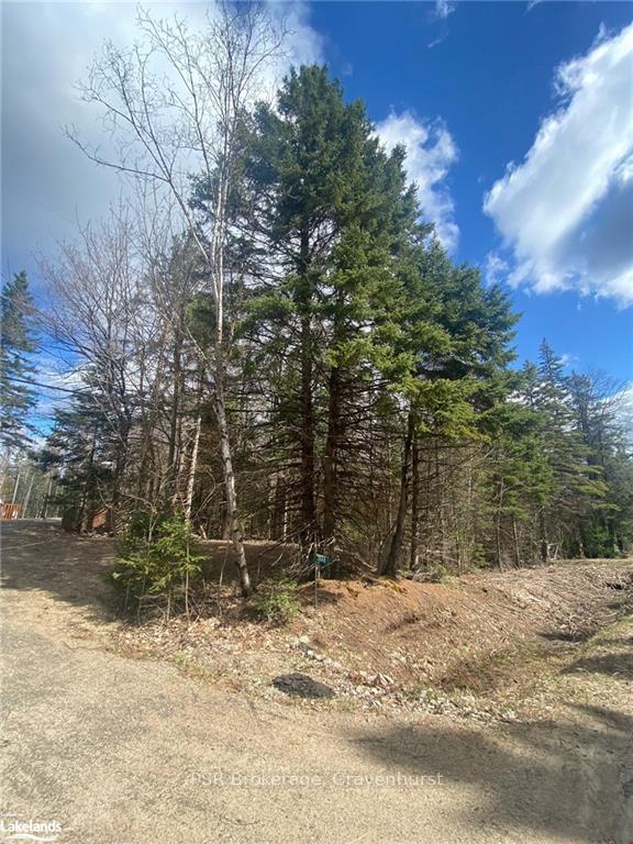 Photo 4 of PLOT 143 LOT 12 Highway 518 W, McMurrich/Monteith, McMurrich — HOMEH