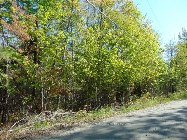 Photo of Lot 11 Plan 580 North Drive