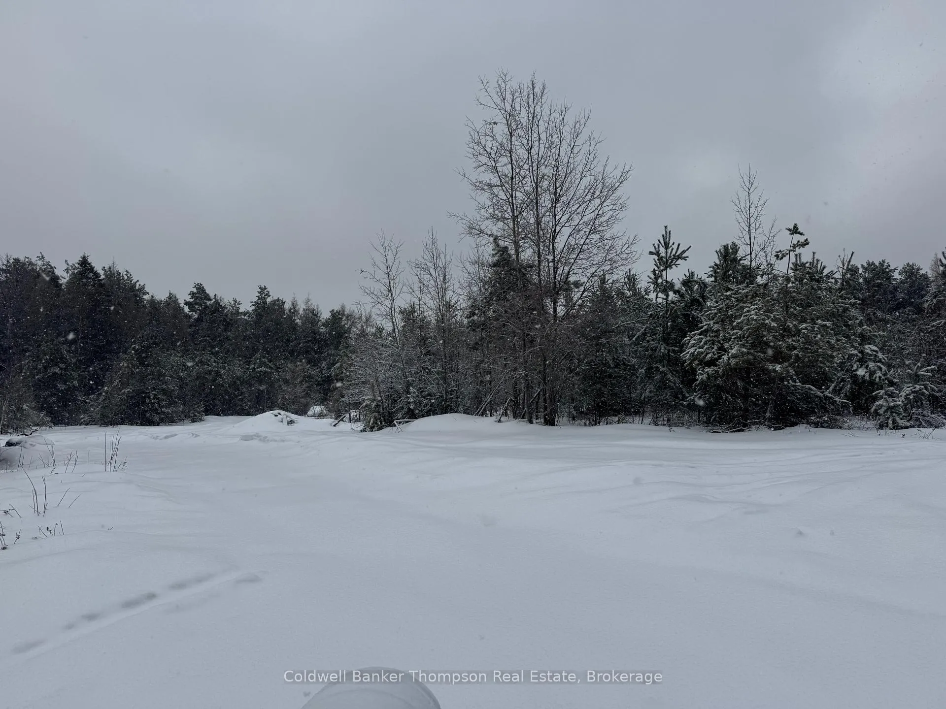 Photo 17 of 605 Sweezy Street, Powassan, Trout Creek — HOMEH