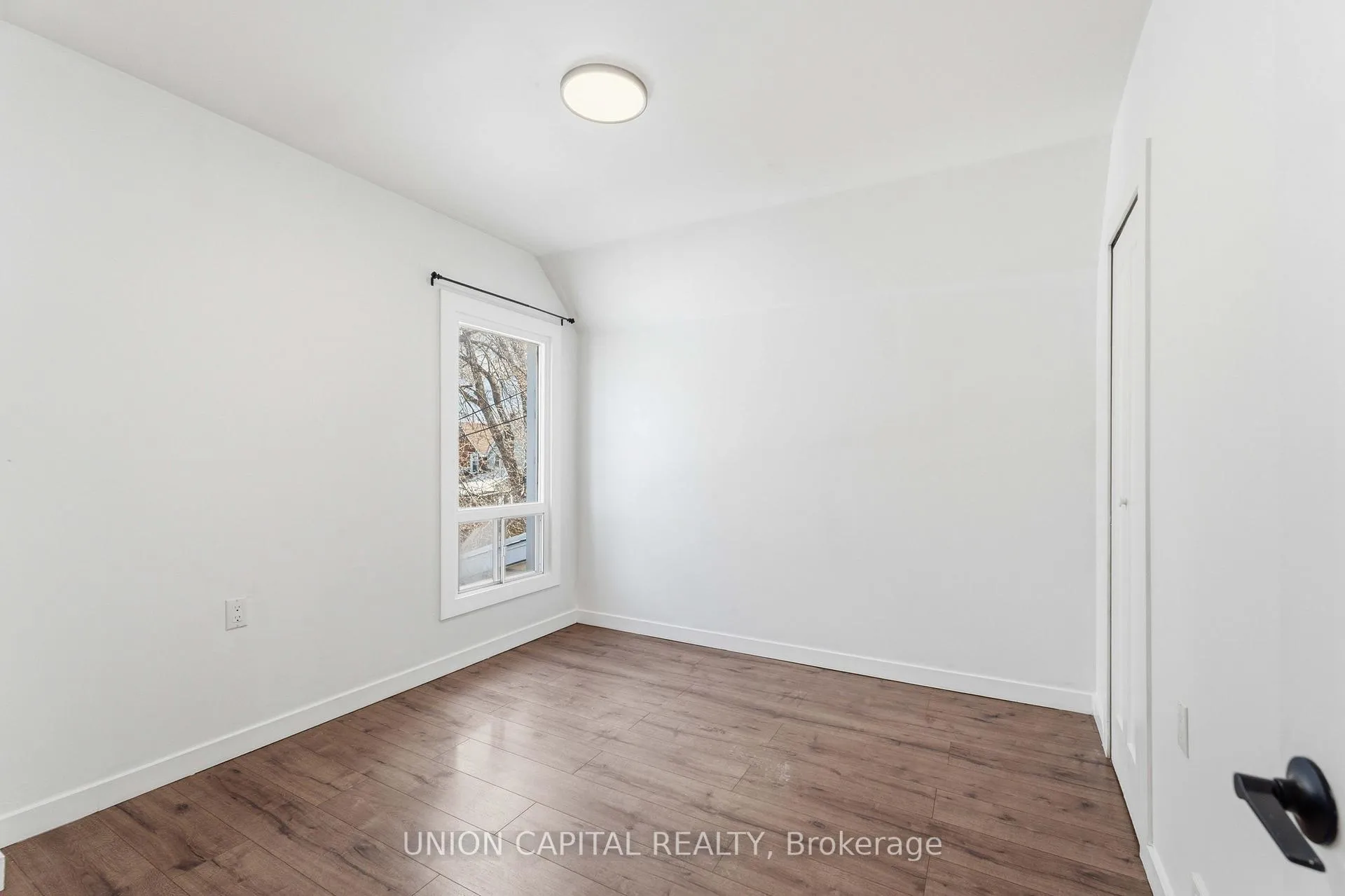 Photo 19 of 103 Case Street, Hamilton, Stipley — HOMEH
