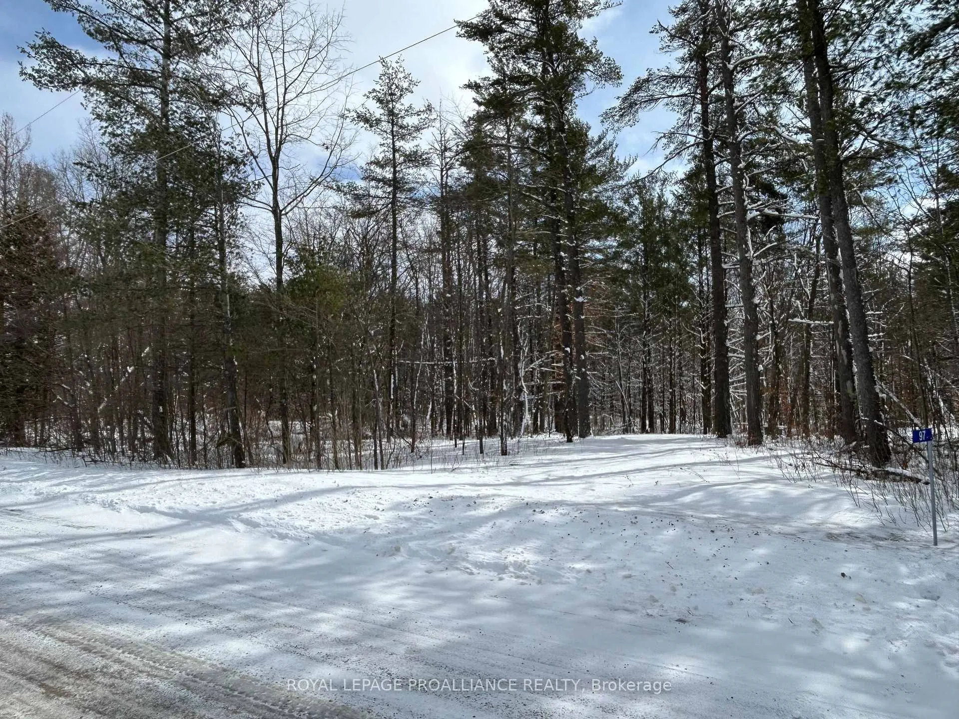 Photo of 97 Greenly Road