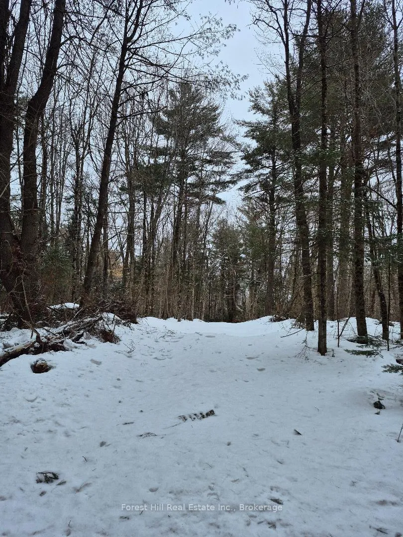 Photo 2 of 247 Woodland Drive, McMurrich/Monteith, McMurrich — HOMEH
