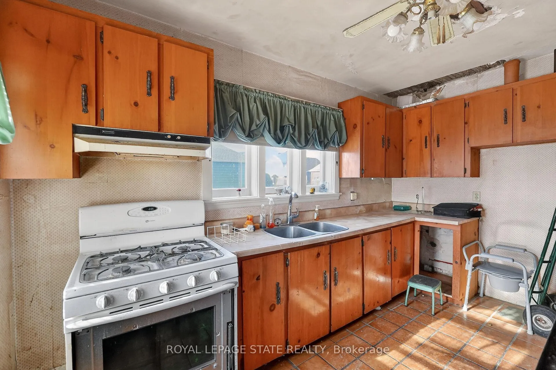 Photo 15 of 240 Paling Avenue, Hamilton, Homeside — HOMEH