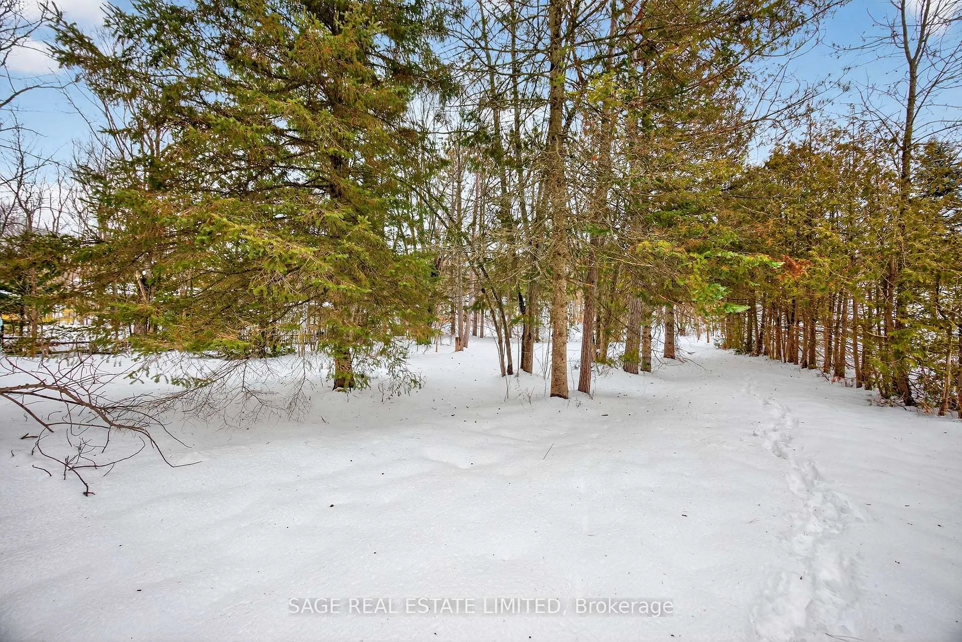 Photo 23 of 7856 Birch Drive, Ramara, Rural Ramara — HOMEH