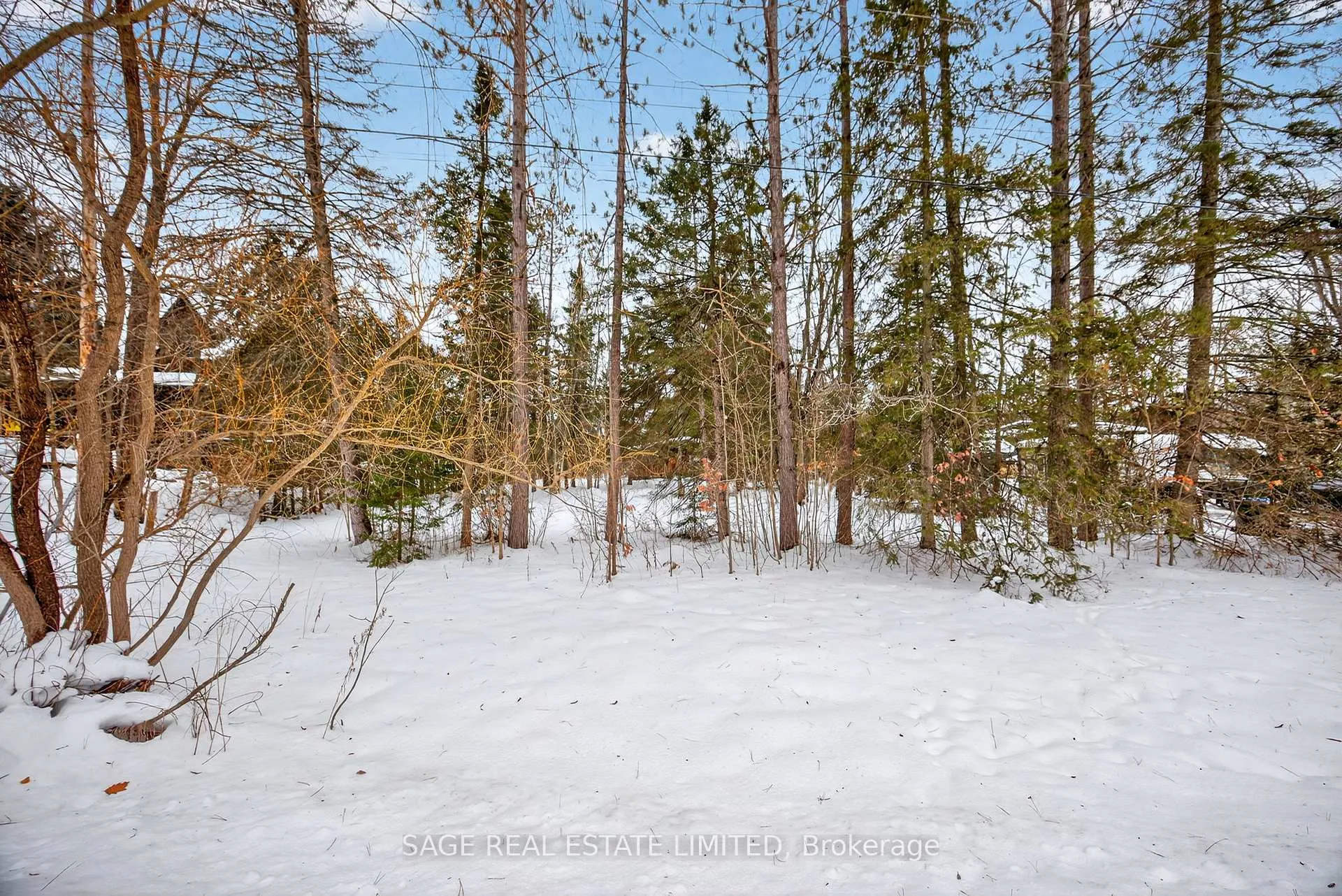 Photo 24 of 7856 Birch Drive, Ramara, Rural Ramara — HOMEH