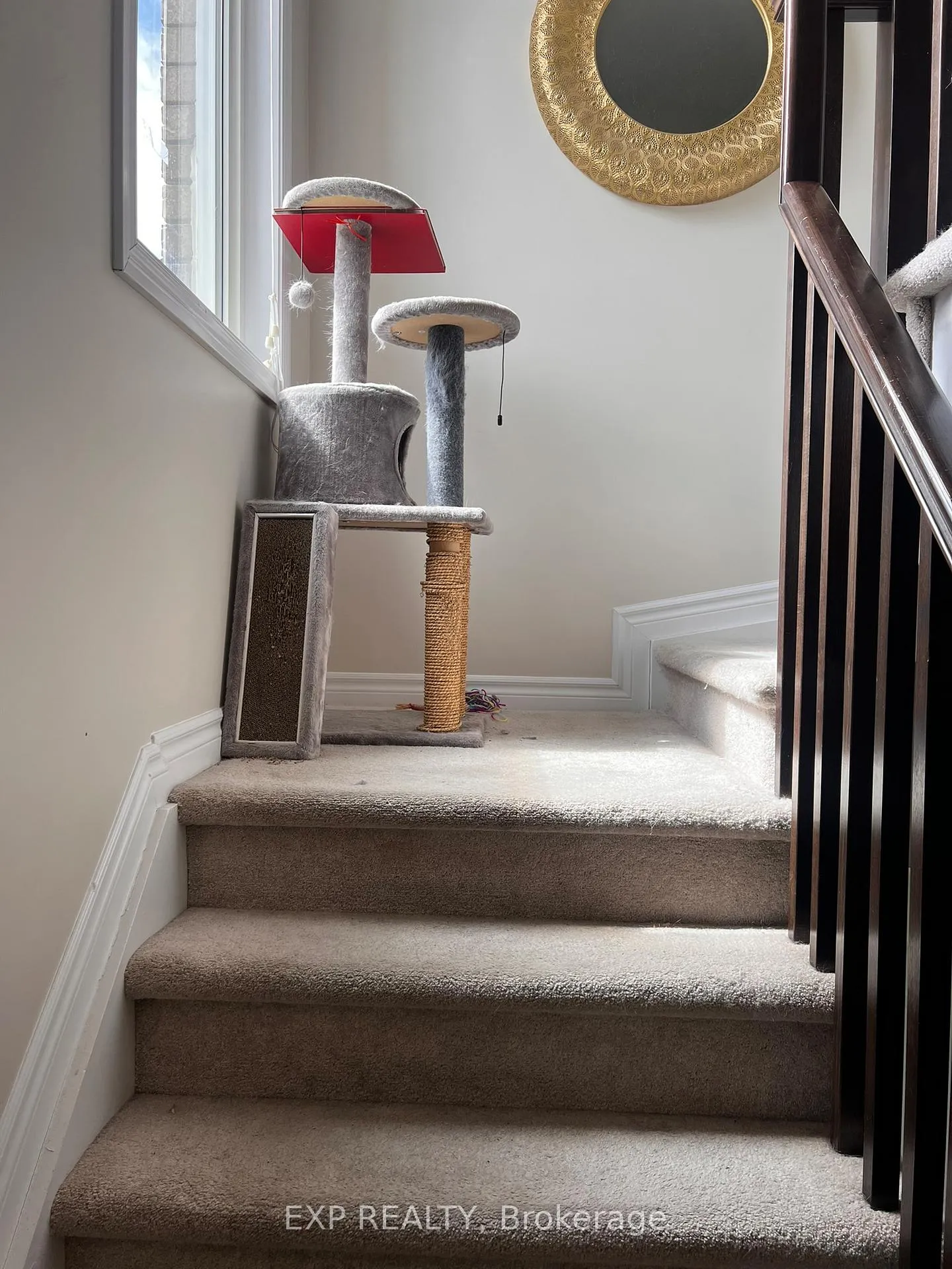 Photo 39 of 229 Cayman Road, Ottawa, Stittsville (North) — HOMEH