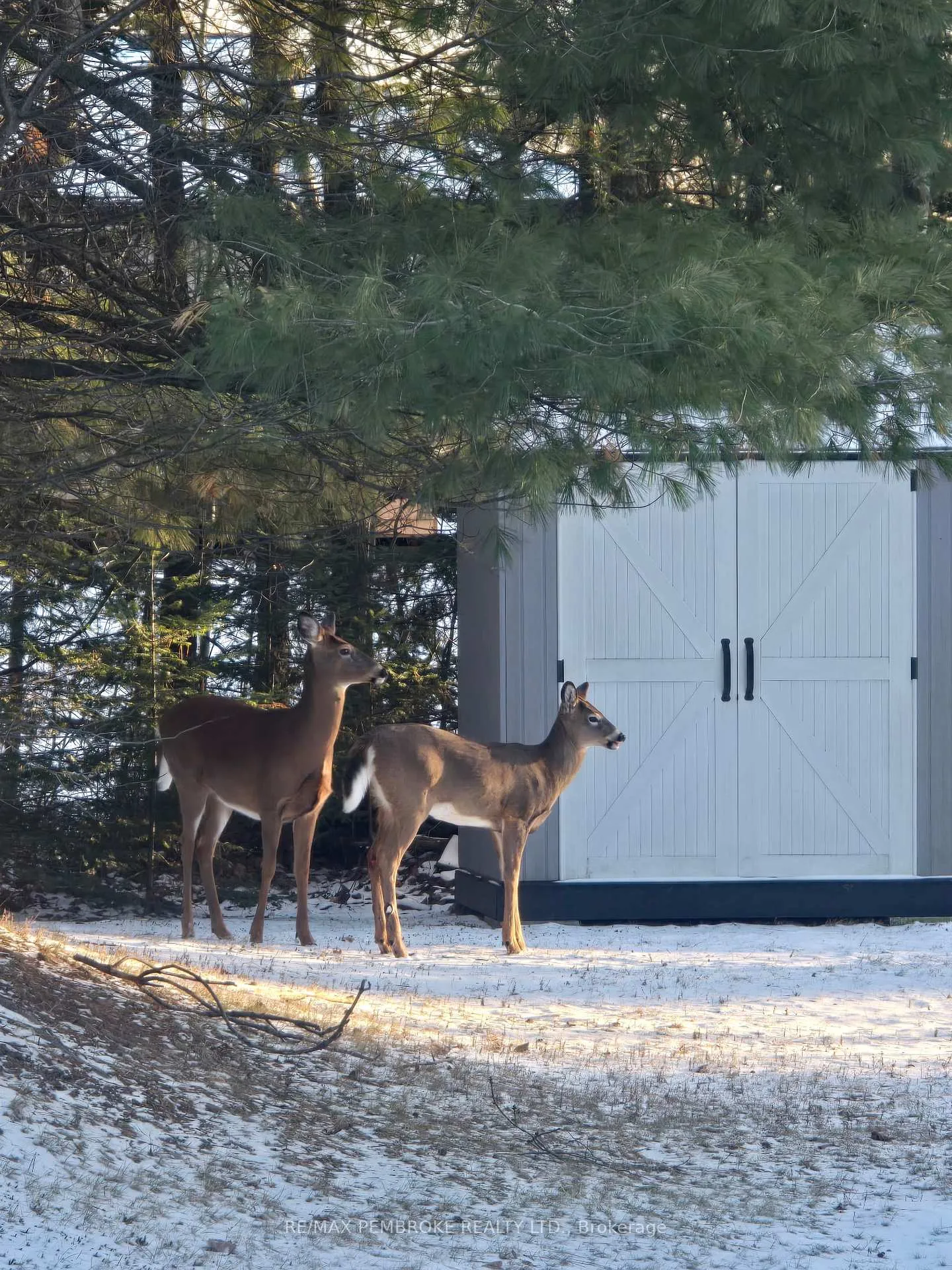 Photo 49 of 167 Murphy Road, Petawawa — HOMEH