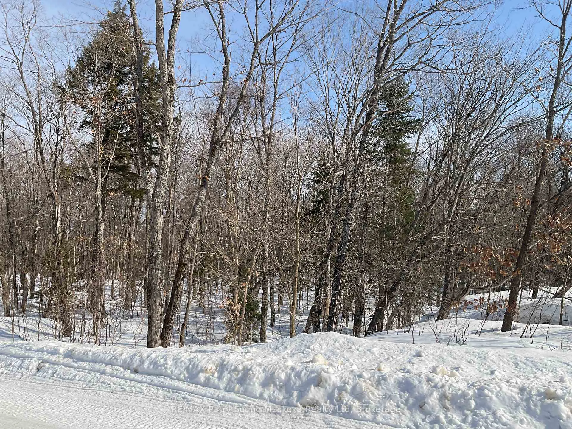 Photo 4 of 79 Pine Grove Road, Parry Sound Remote Area, Wilson — HOMEH