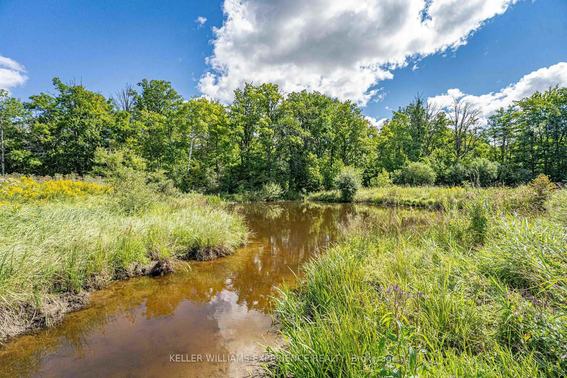 Photo 43 of 1213 Taylor Line, Severn, Rural Severn — HOMEH