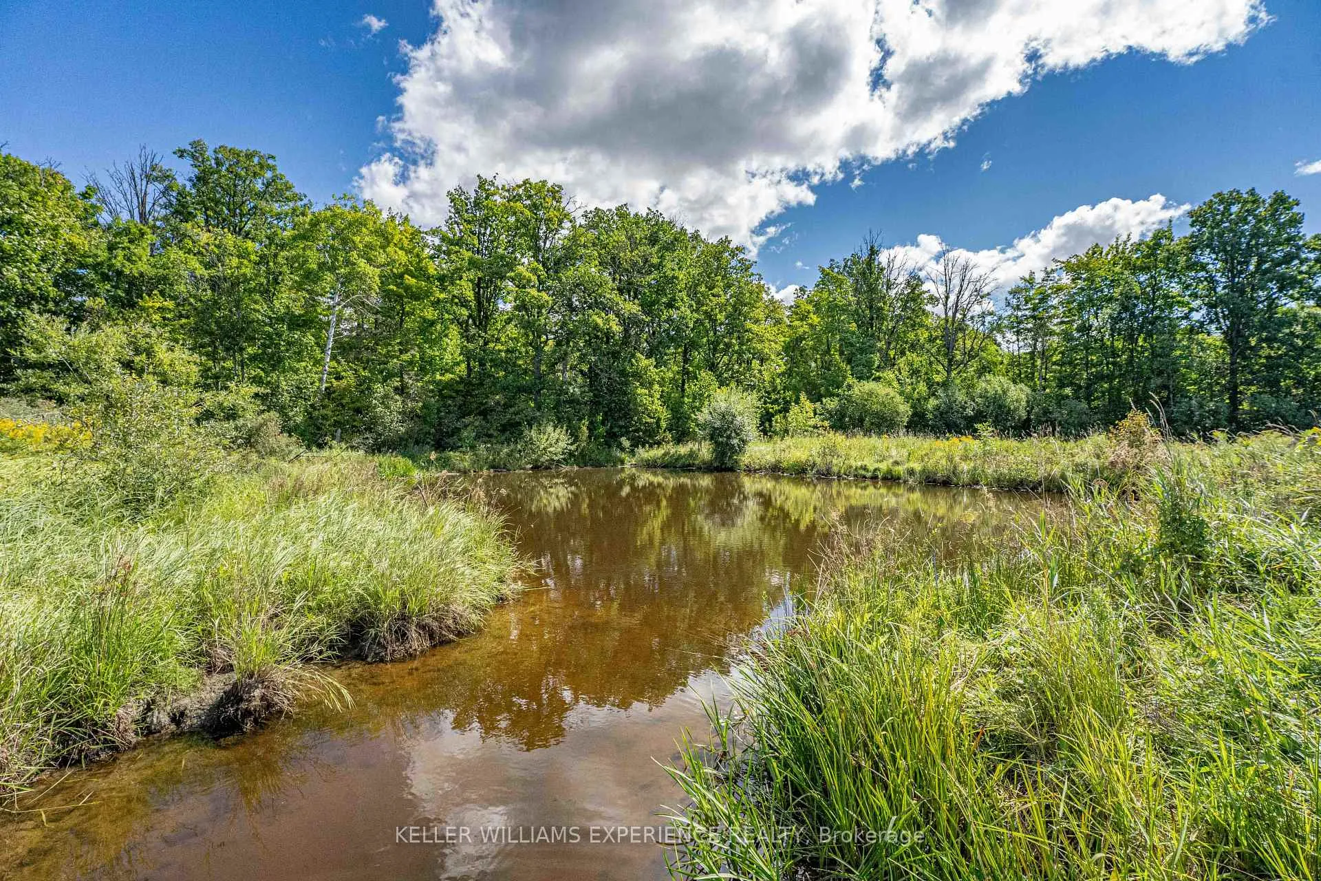 Photo 44 of 1213 Taylor Line, Severn, Rural Severn — HOMEH