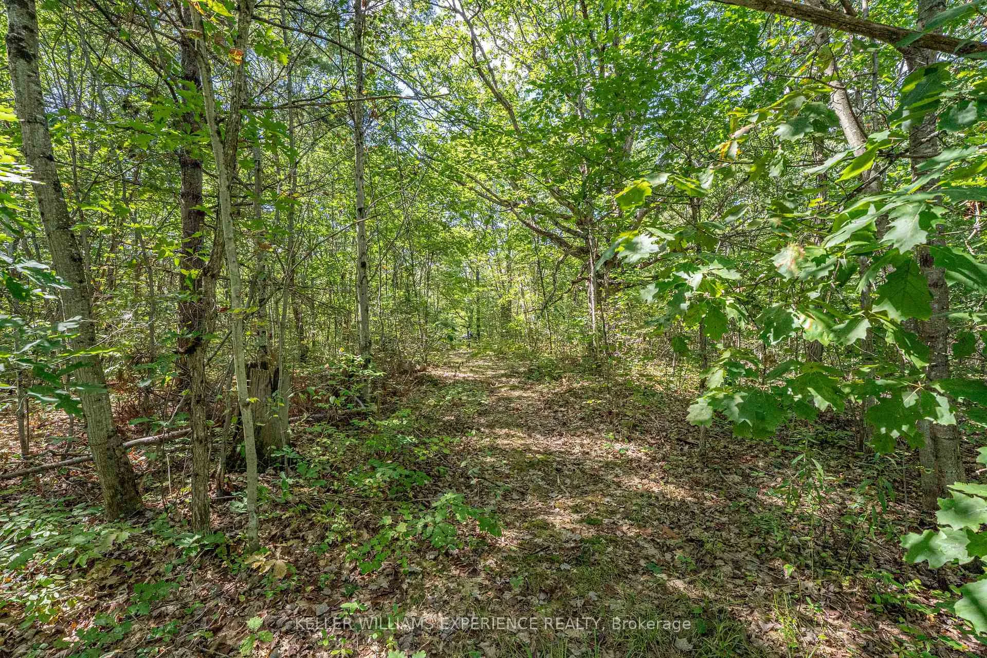 Photo 46 of 1213 Taylor Line, Severn, Rural Severn — HOMEH