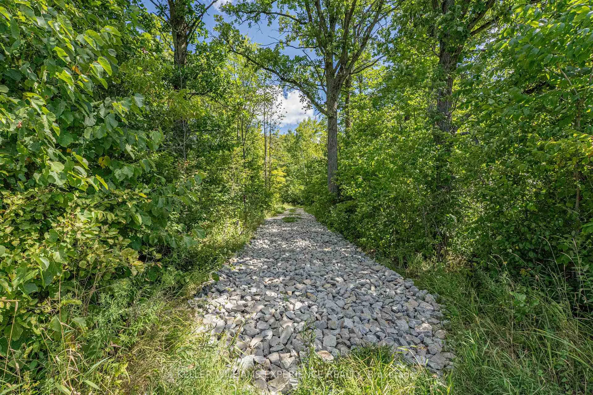 Photo 47 of 1213 Taylor Line, Severn, Rural Severn — HOMEH