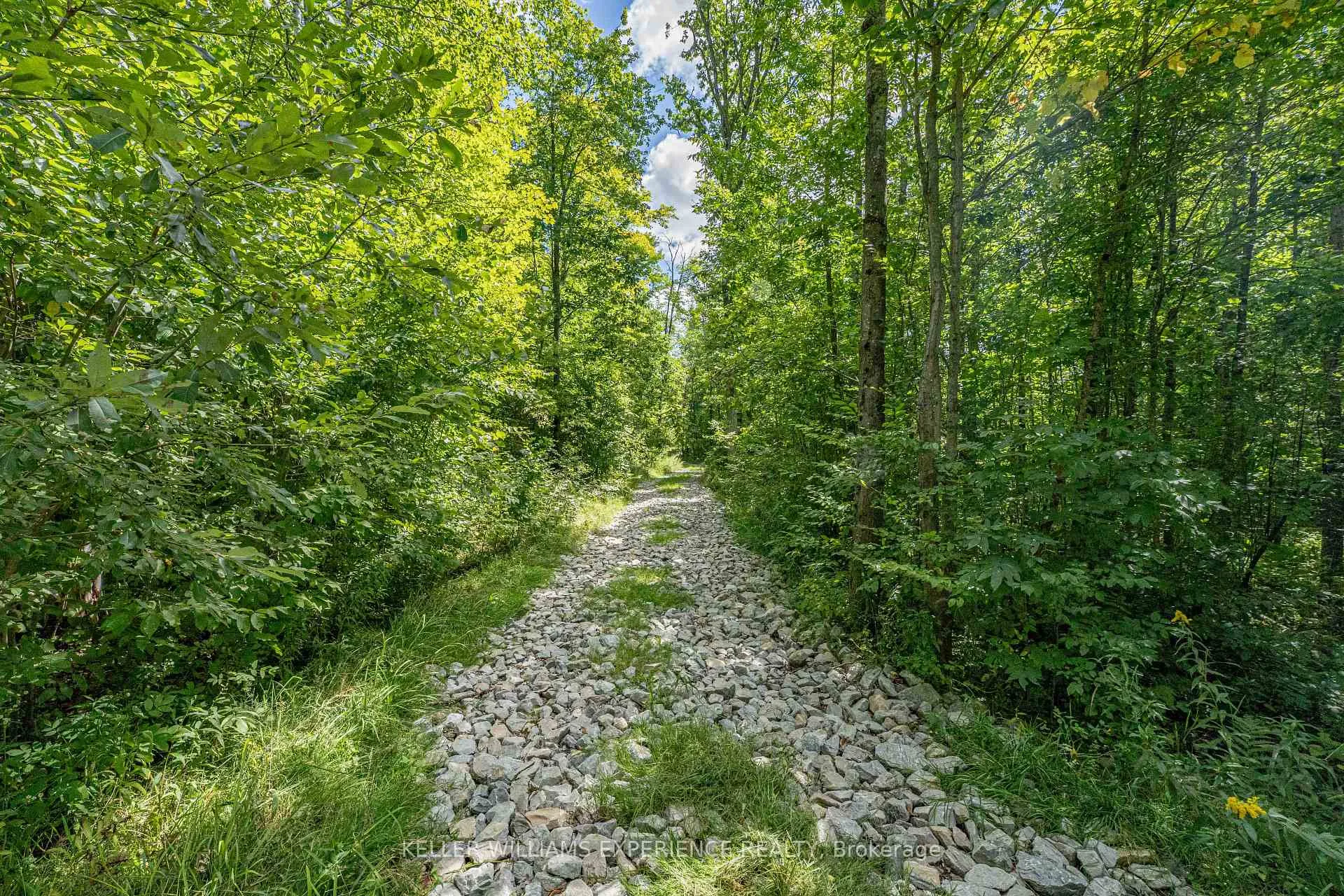 Photo 48 of 1213 Taylor Line, Severn, Rural Severn — HOMEH