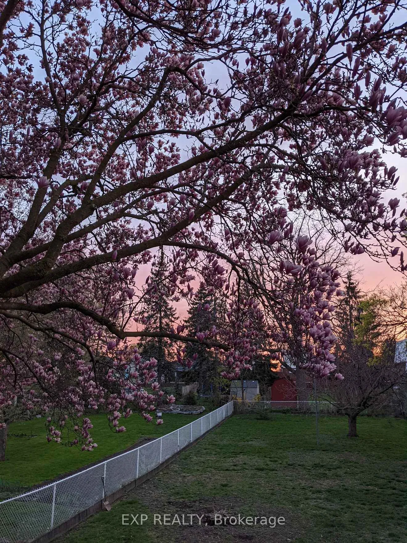 Photo 39 of 3935 St Peter Avenue, Niagara Falls, Stamford — HOMEH