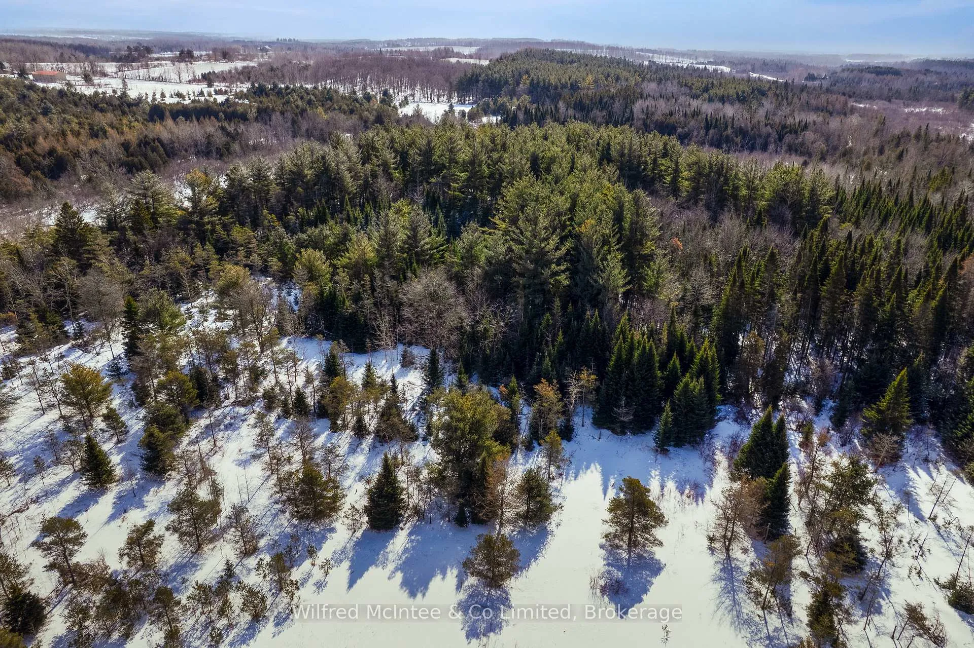 Photo 1 of PtLt 19 First Line, Erin, Rural Erin — HOMEH