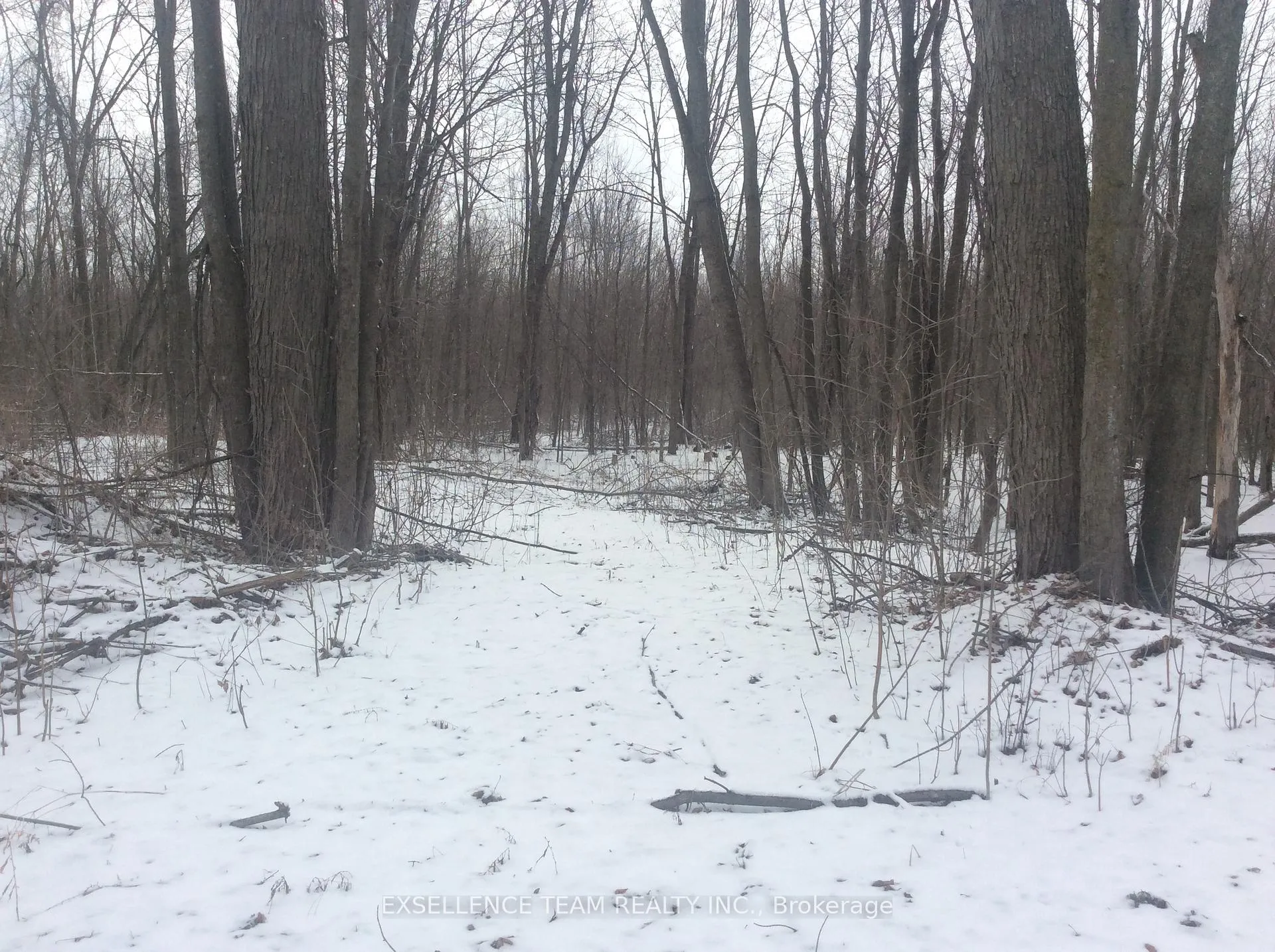 Photo 5 of 0000 County Rd 43 Highway, North Stormont, North Stormont (Roxborough) Twp — HOMEH